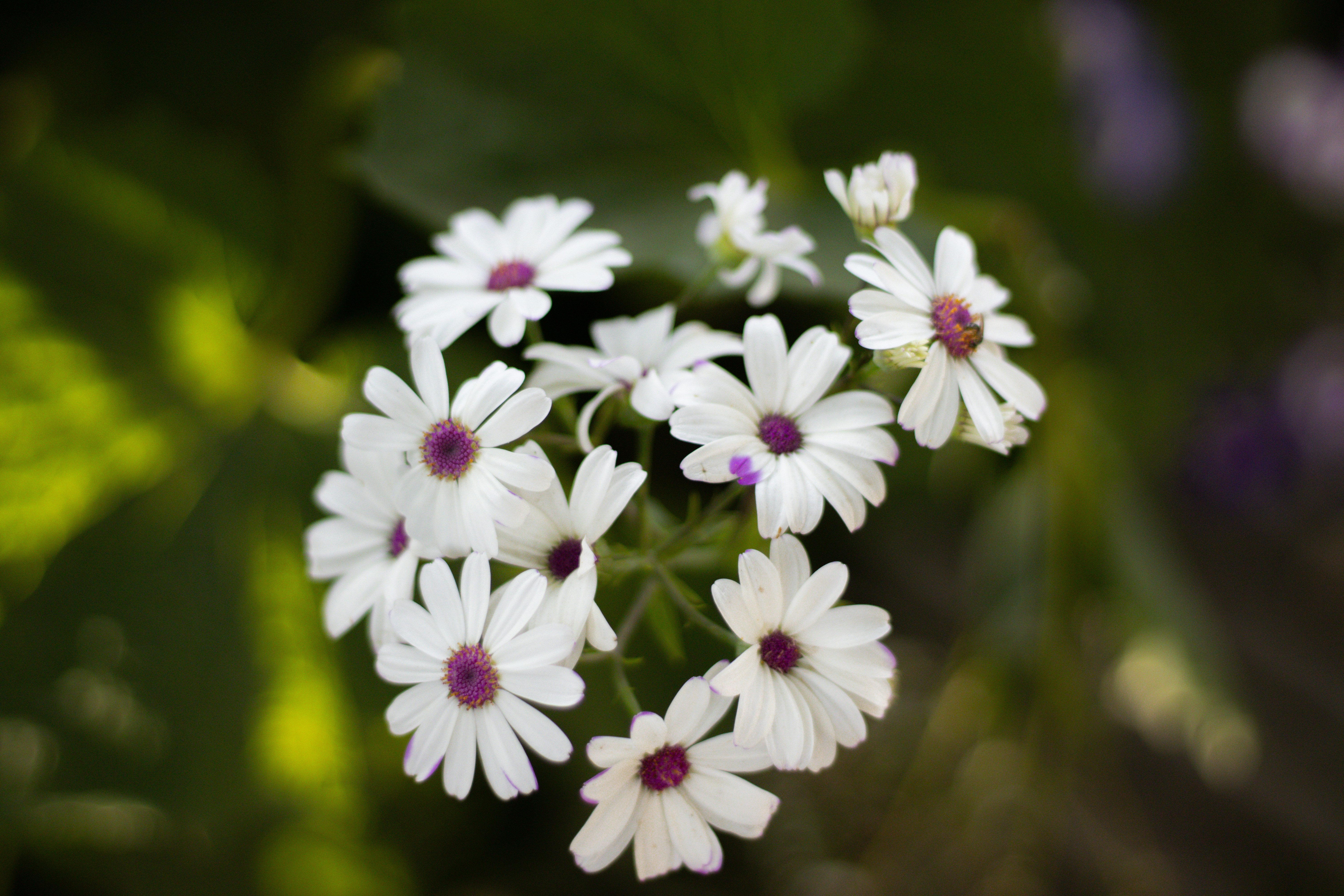 Photo by akshat_jhingran