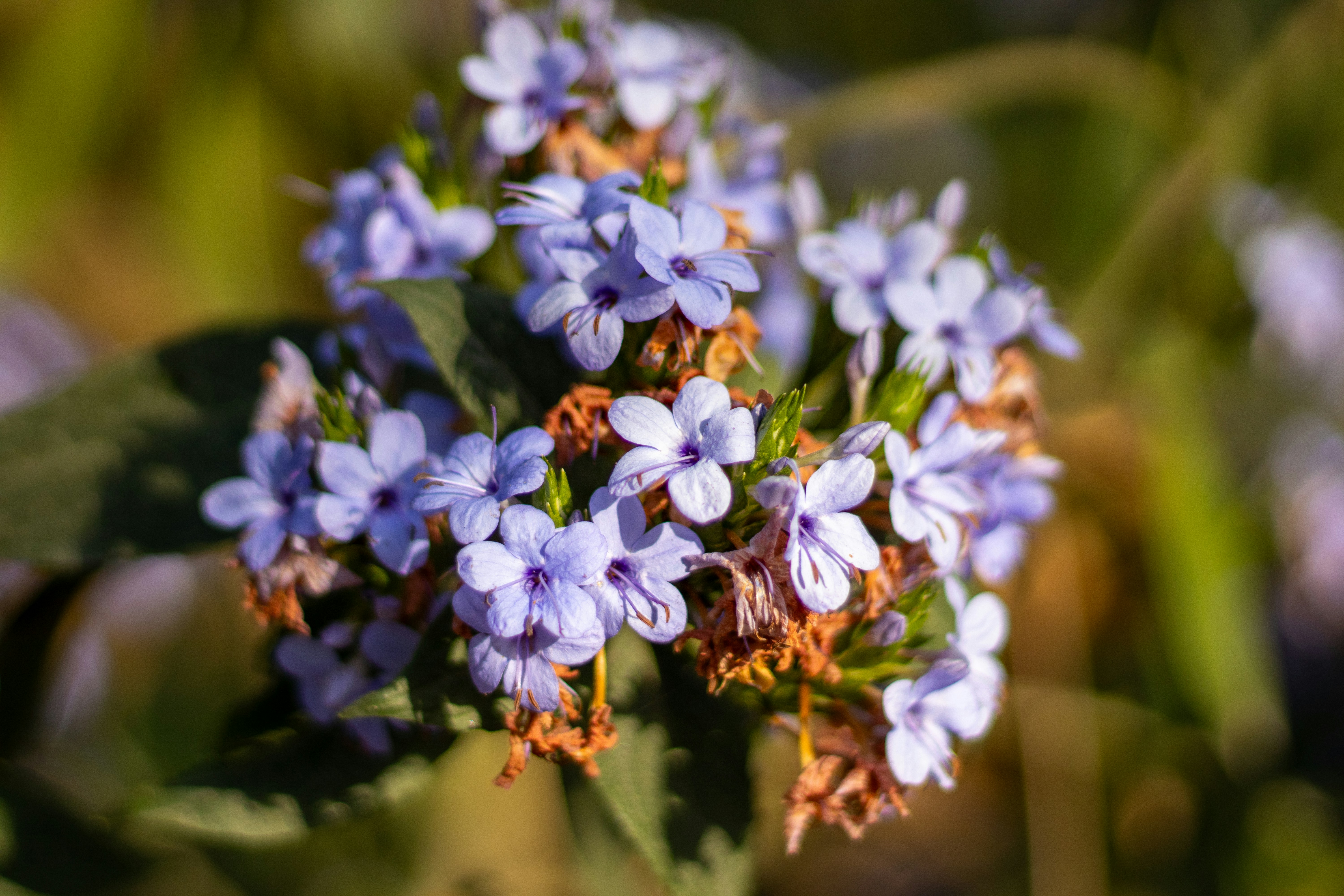 Photo by akshat_jhingran