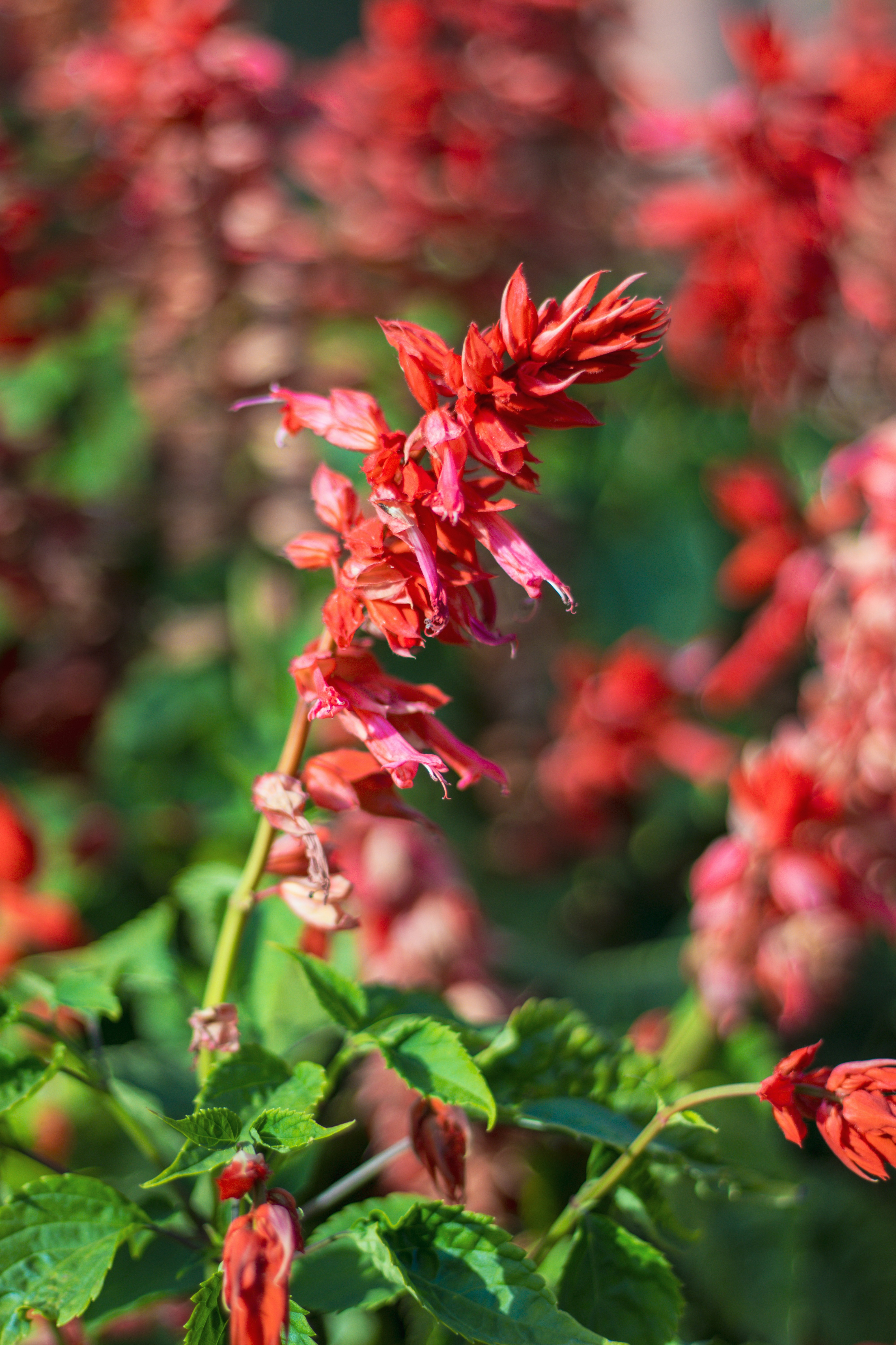 Photo by akshat_jhingran