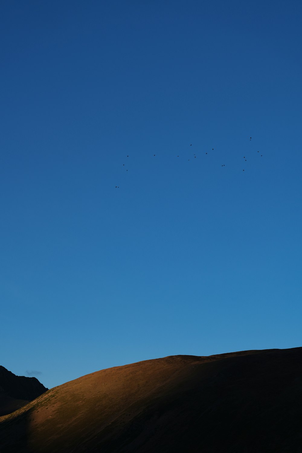 a group of birds flying over a hill