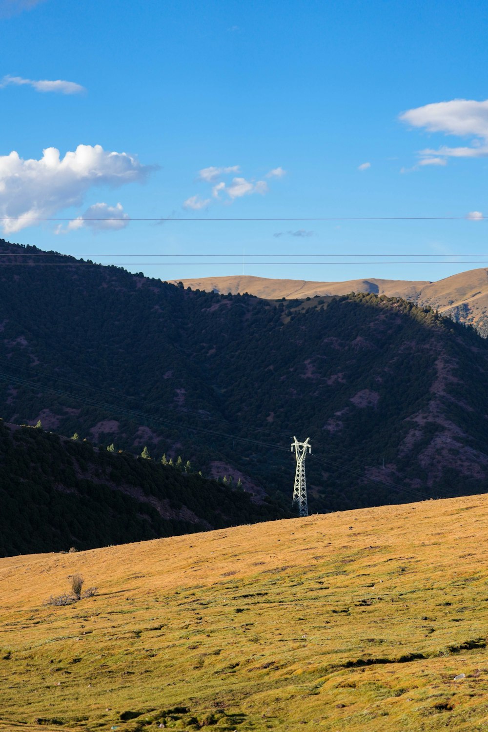 a large field with a telephone pole in the middle of it