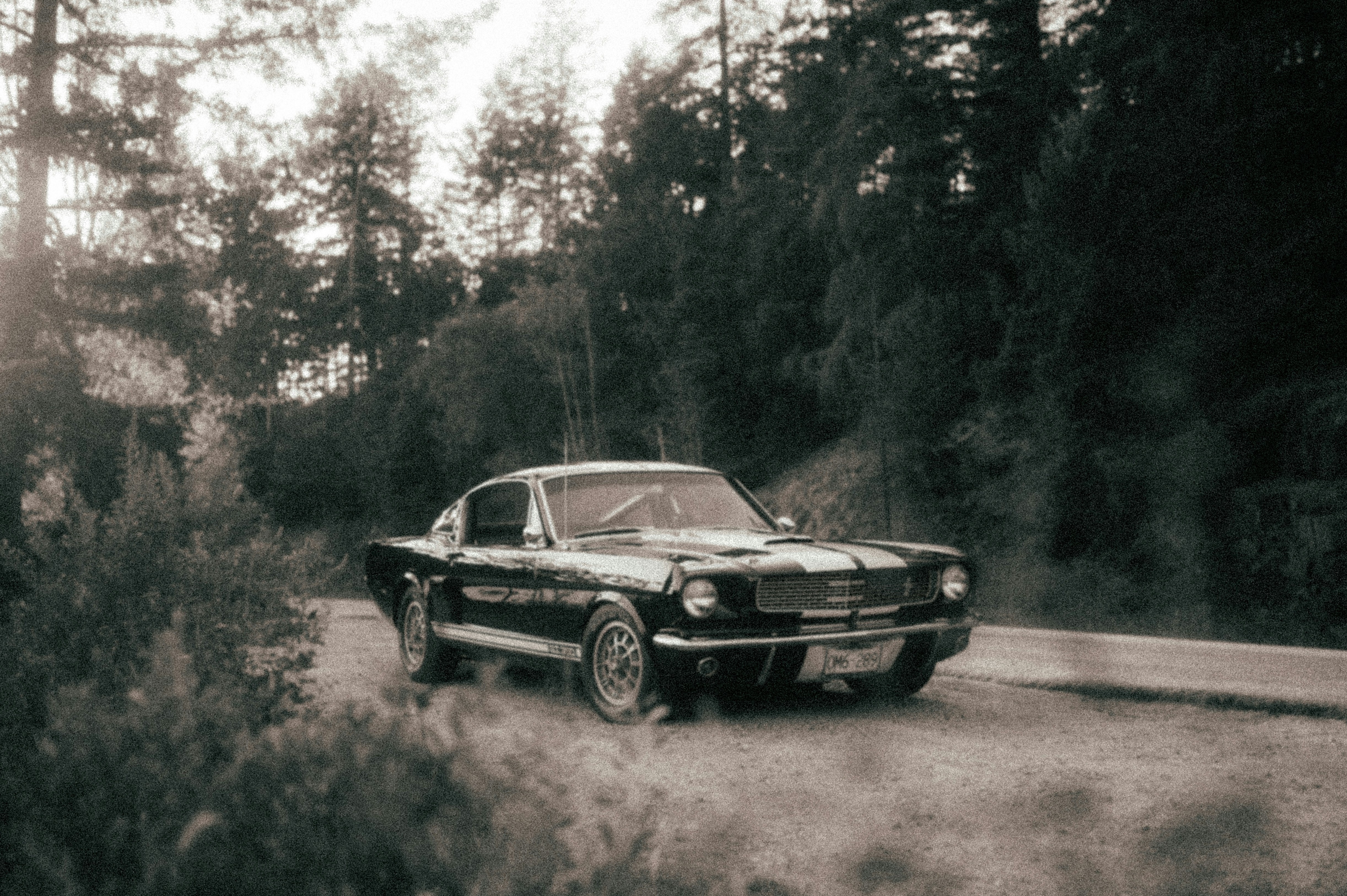 Photo by bylukemiller