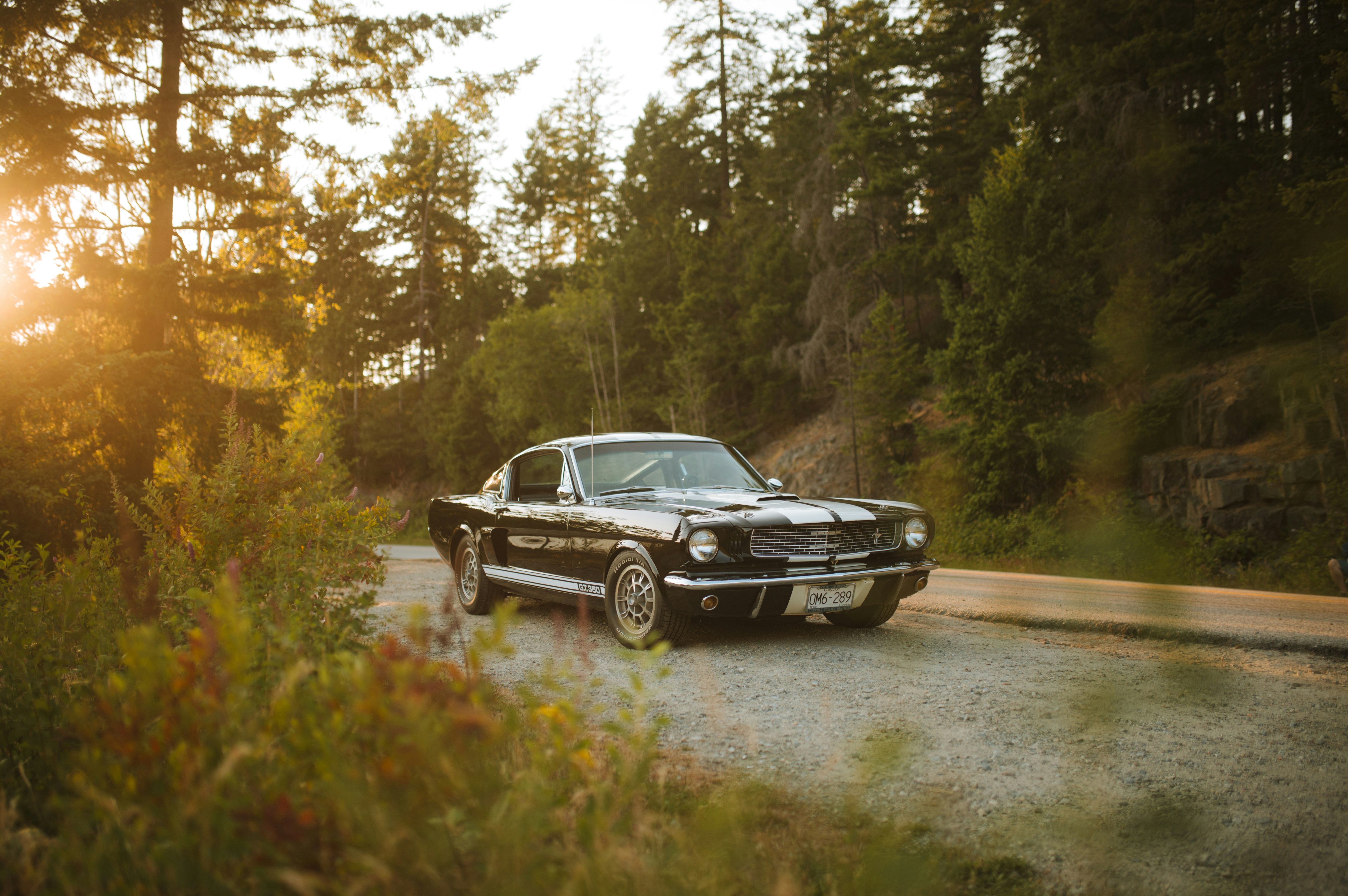 Photo by bylukemiller