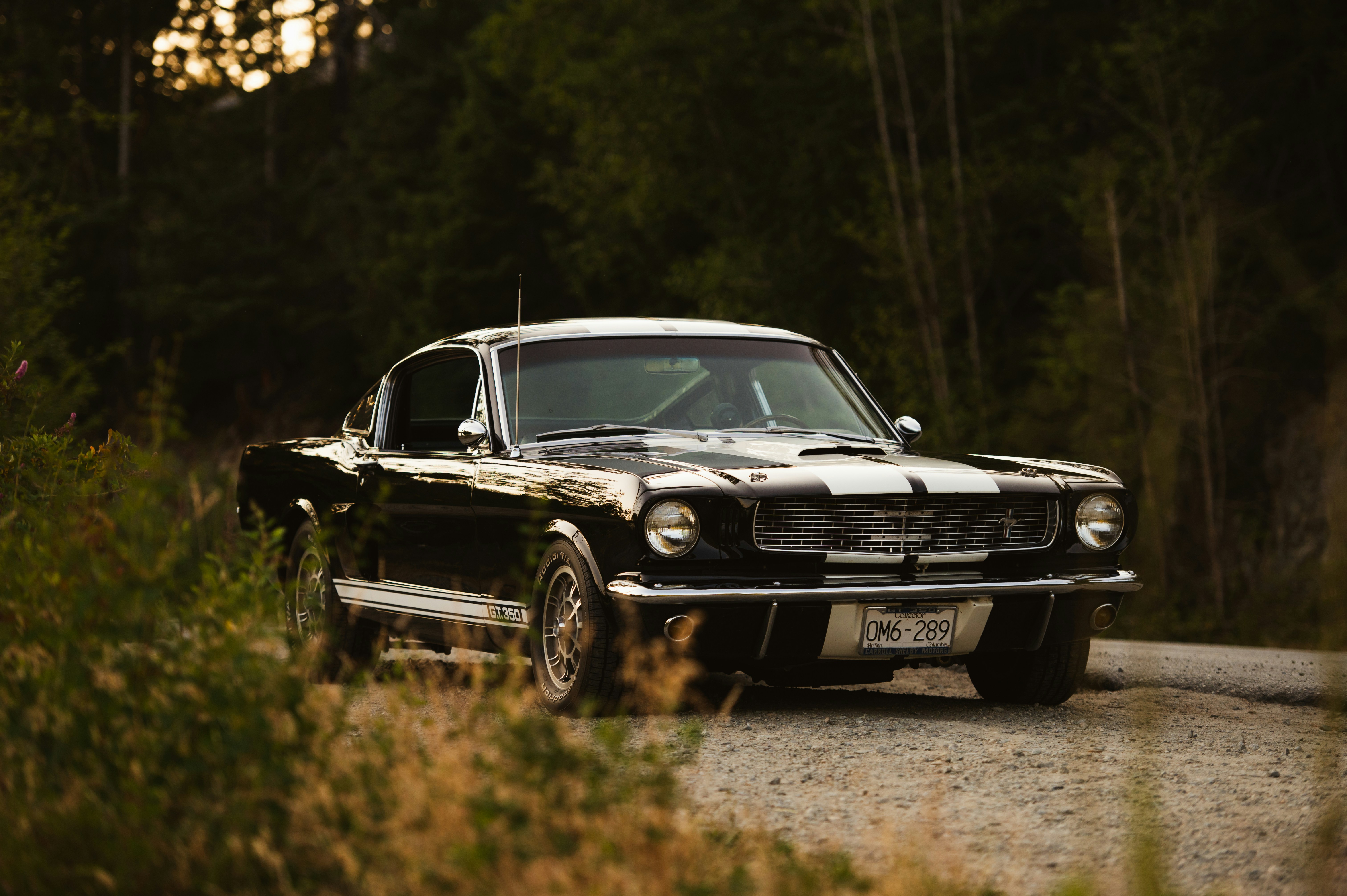 Photo by bylukemiller