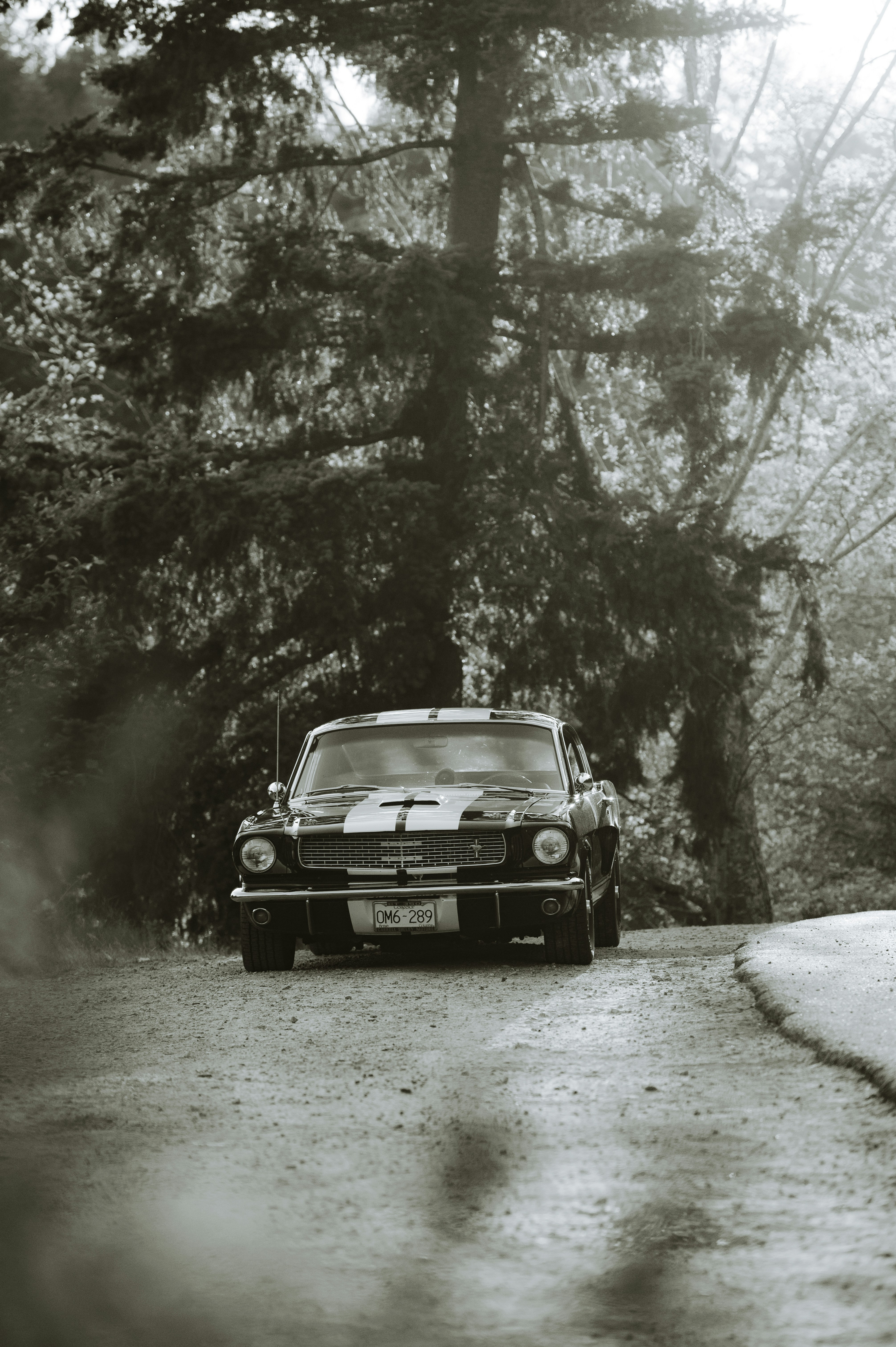 Photo by bylukemiller