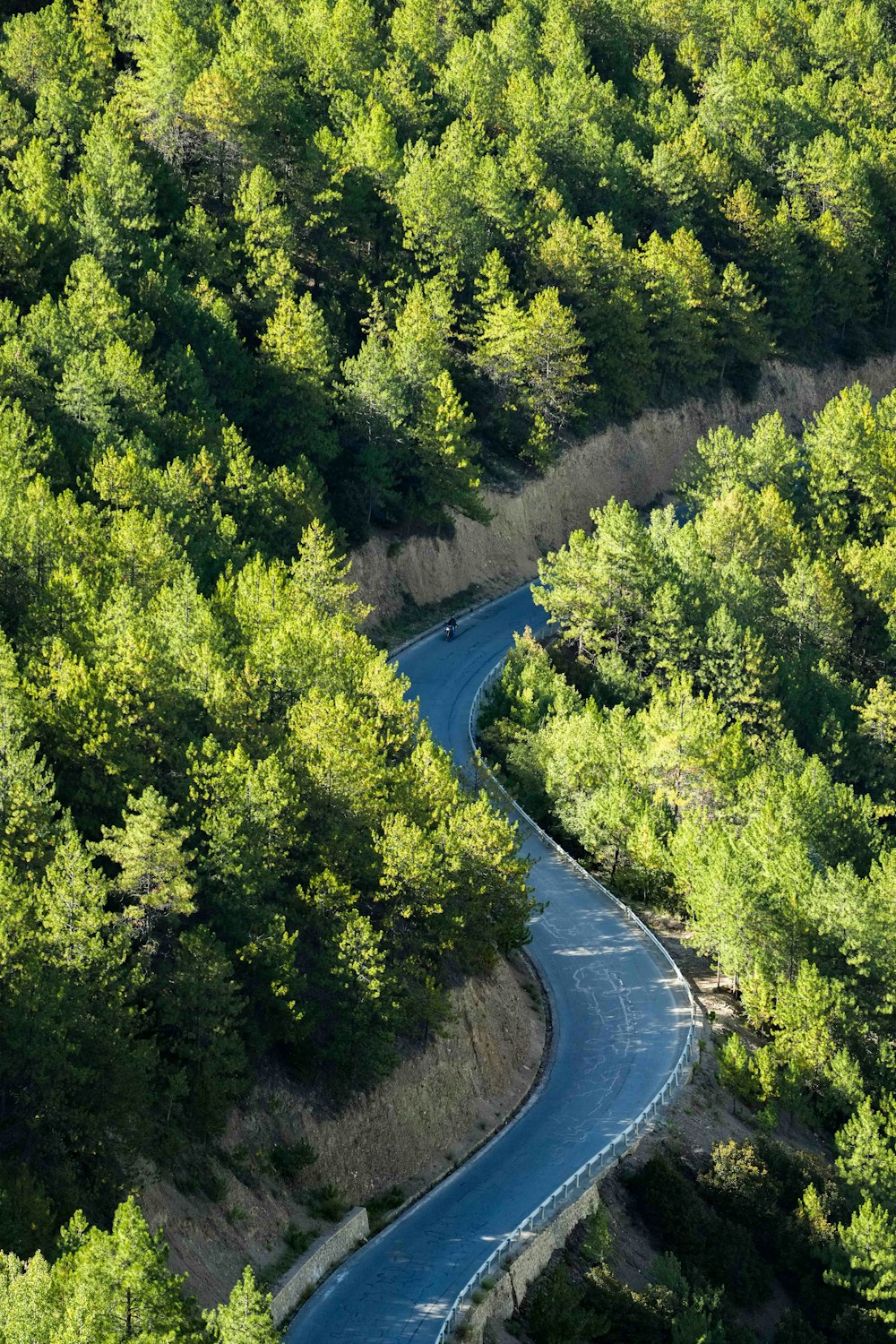 a winding road in the middle of a forest