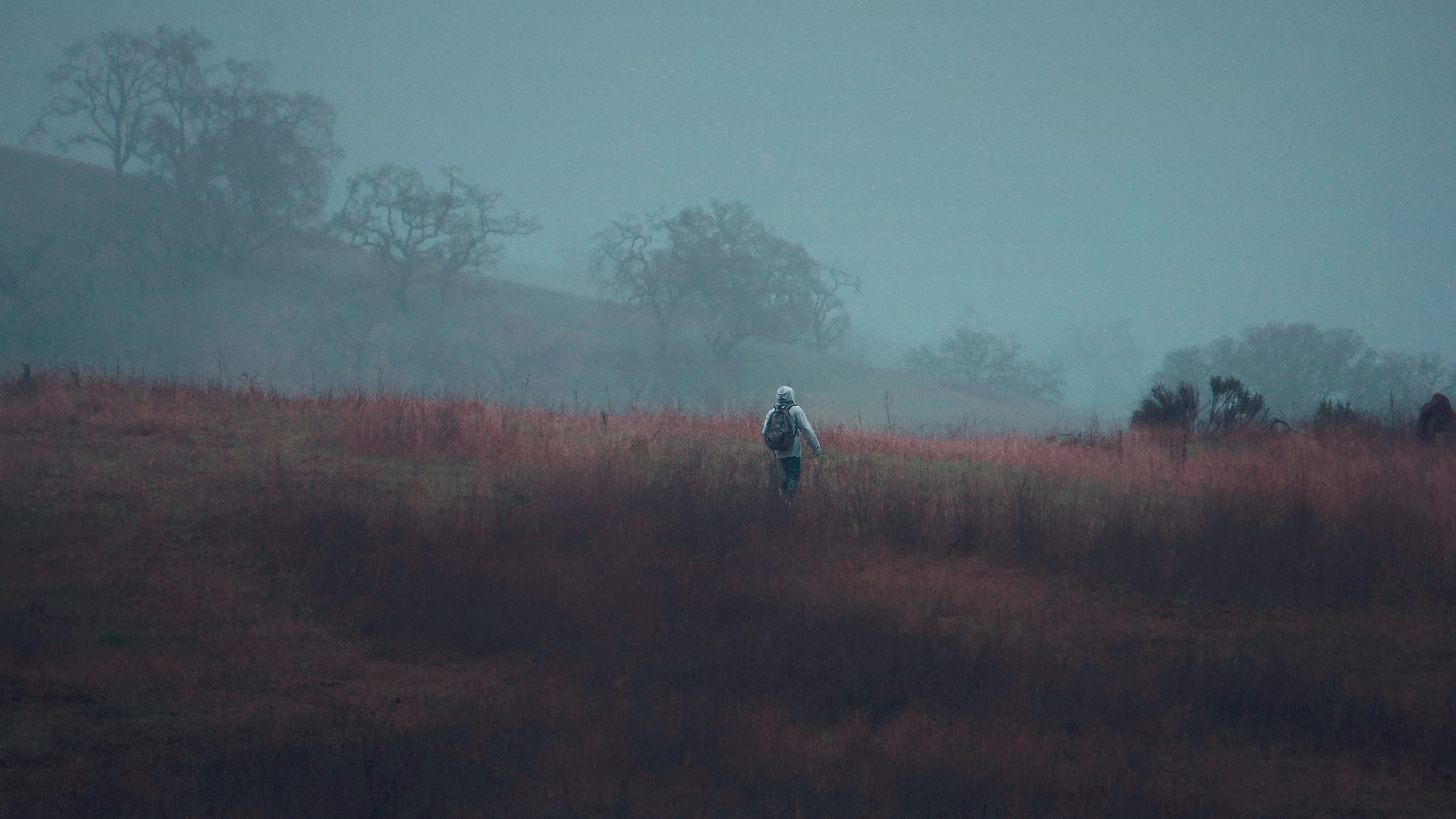 a person standing in a field on a foggy day