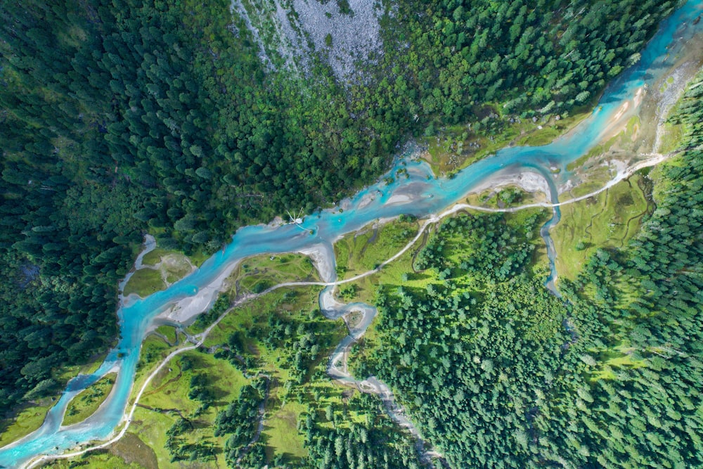 a river running through a lush green forest