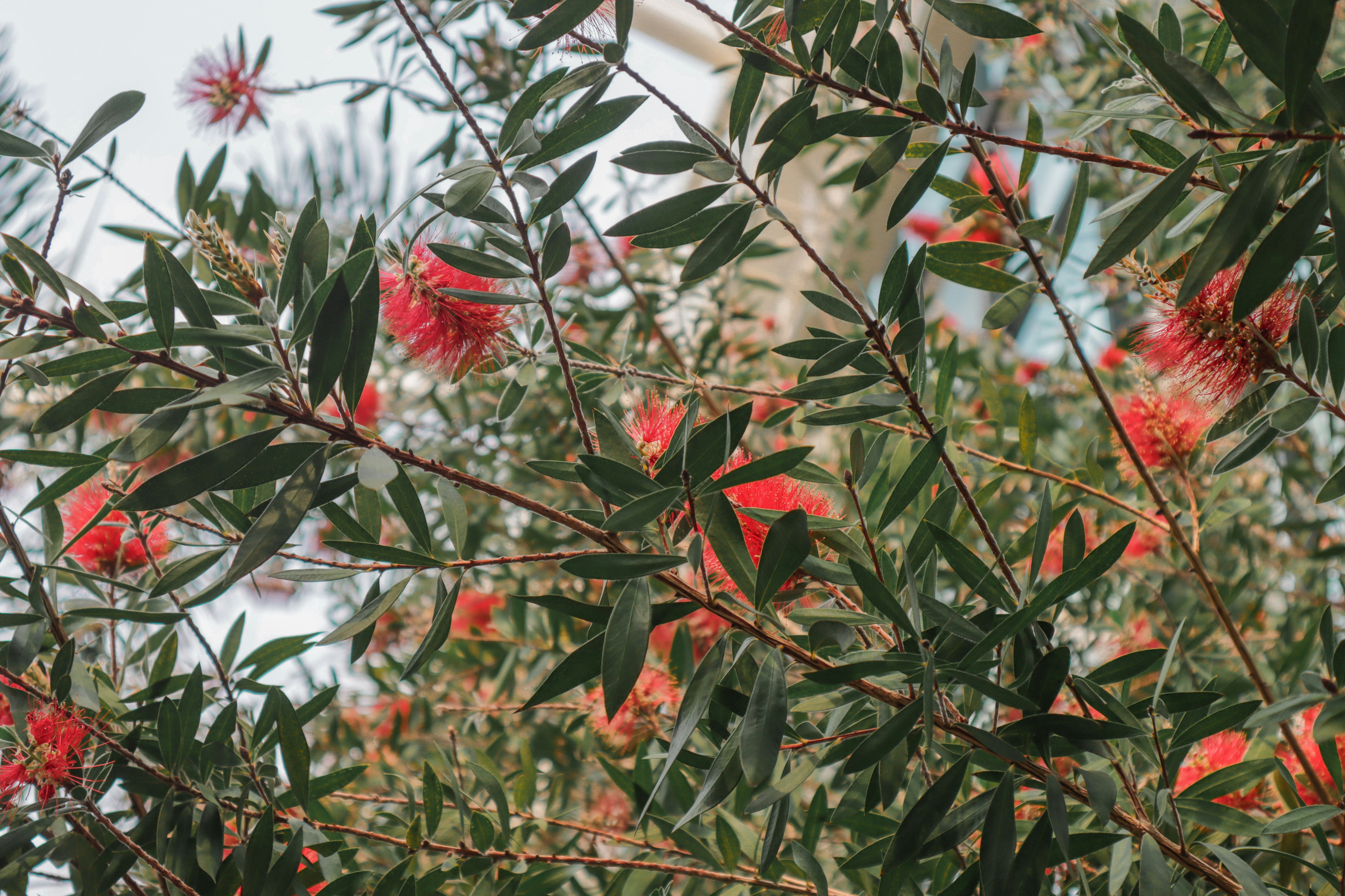 Photo by seoul_lover_lily