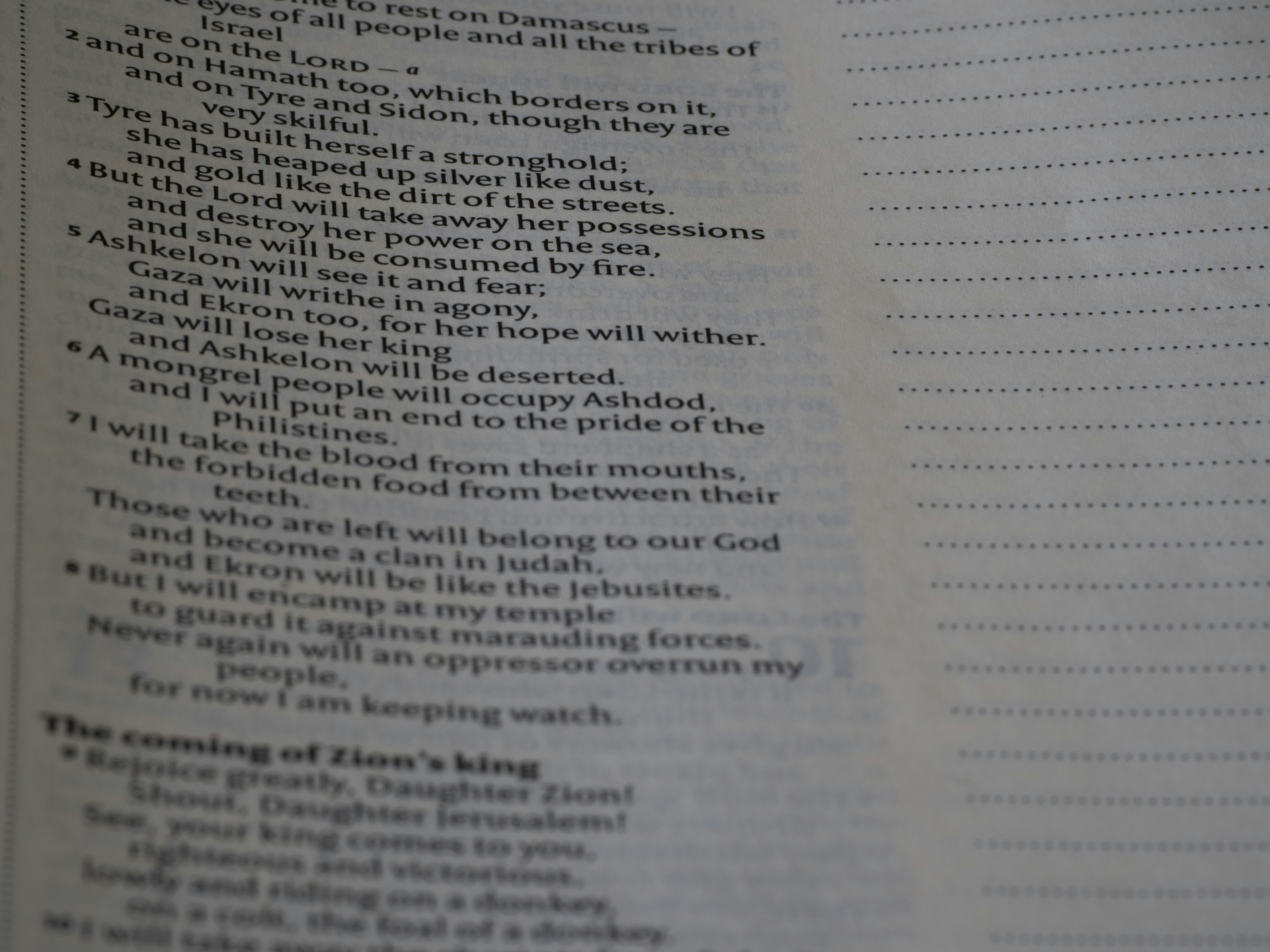 Photo by brett_jordan