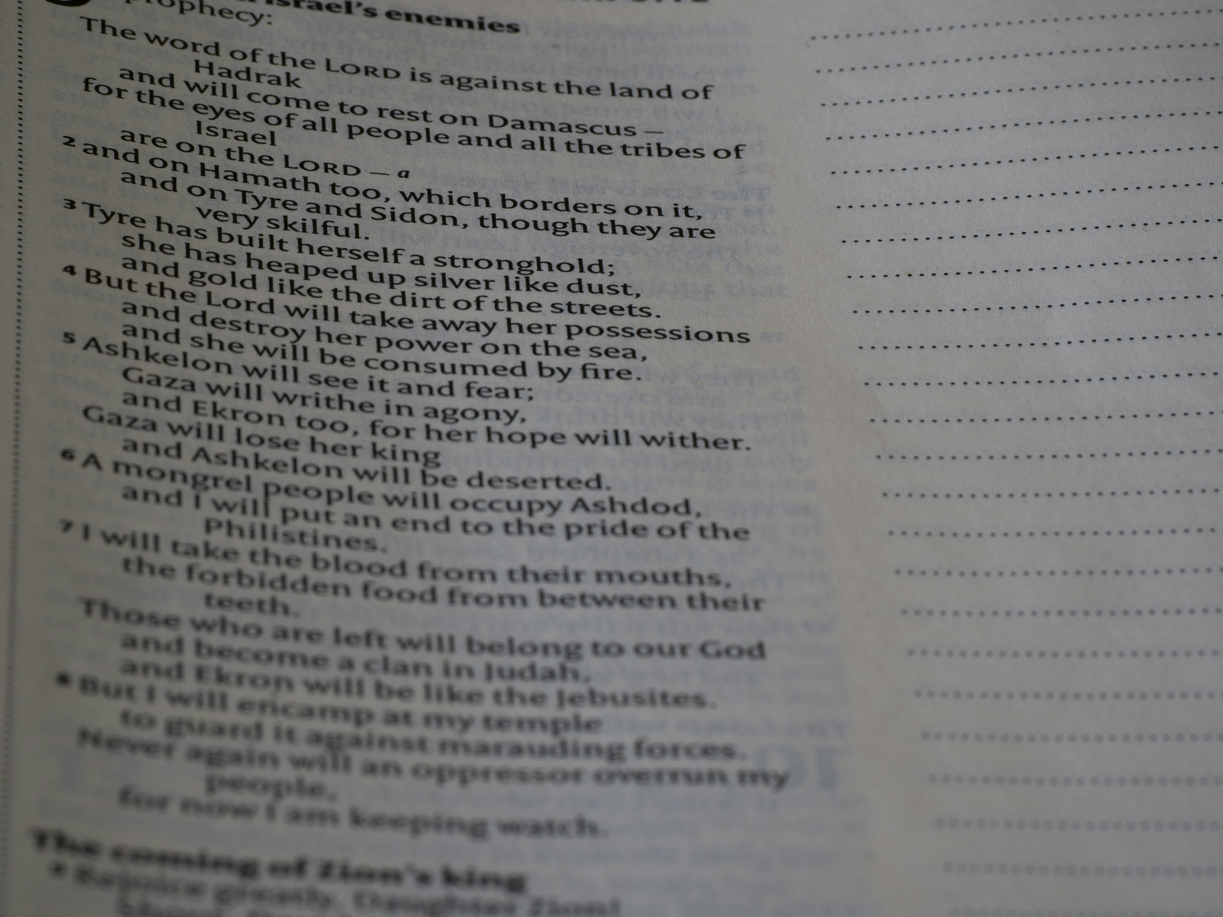 Photo by brett_jordan