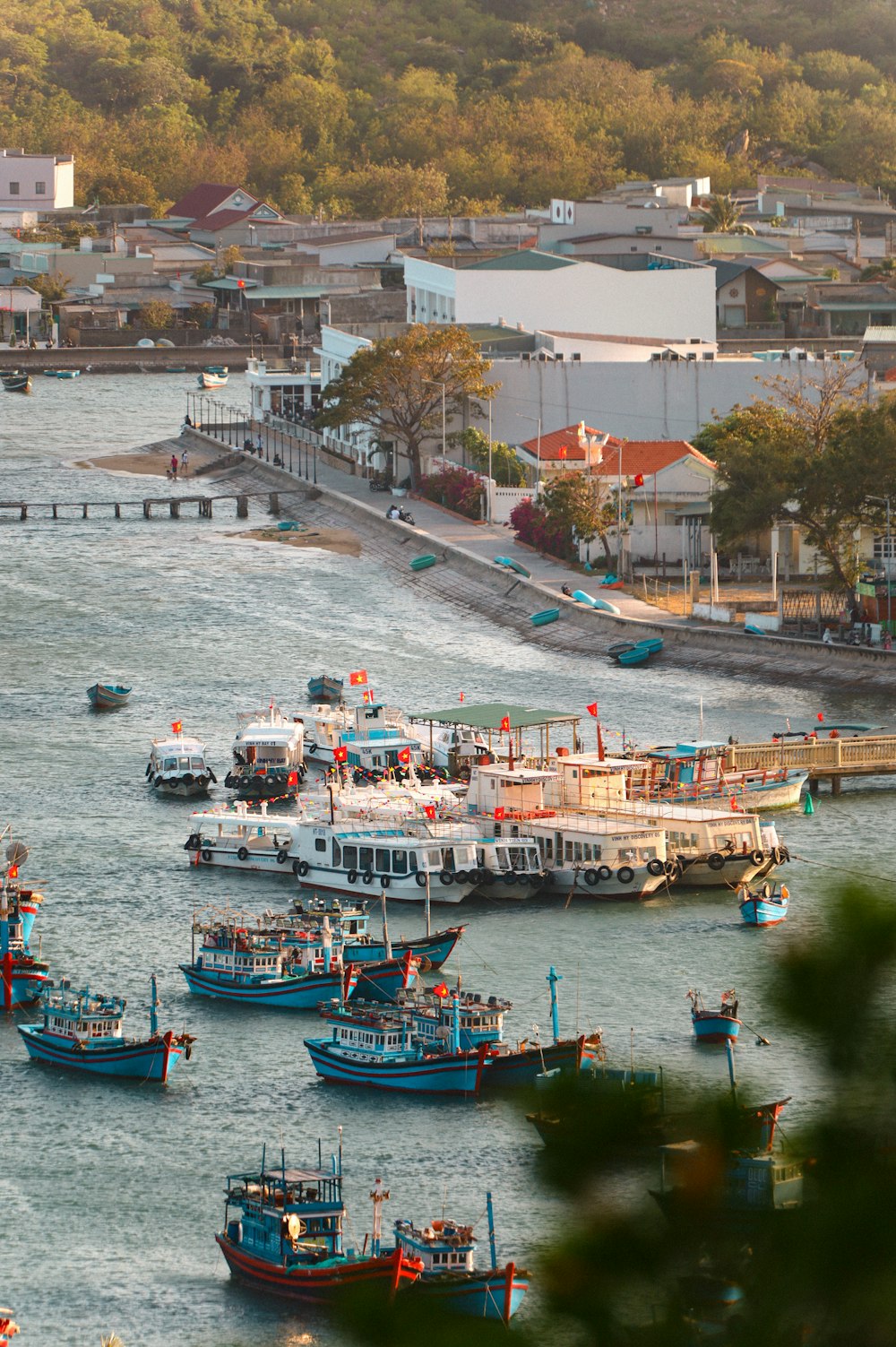 um grupo de barcos flutuando em cima de um corpo de água