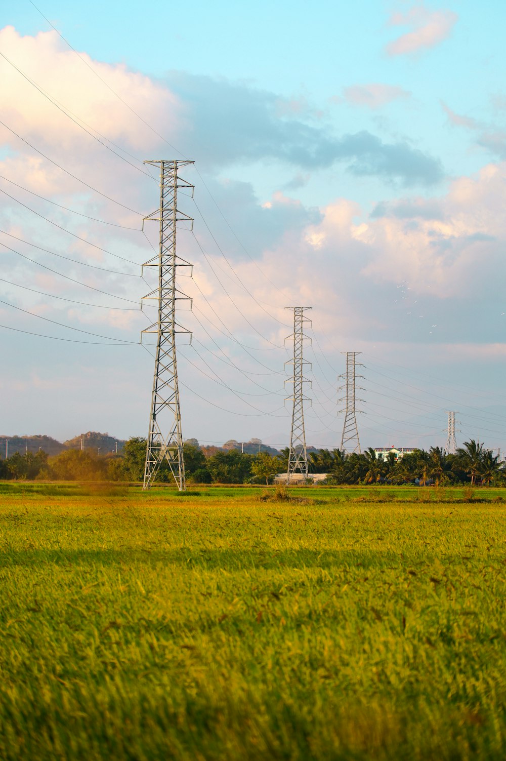 a grassy field with power lines in the background