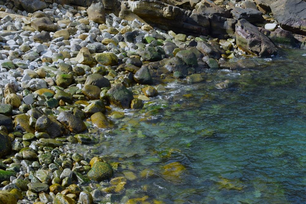 a body of water next to a rocky shore