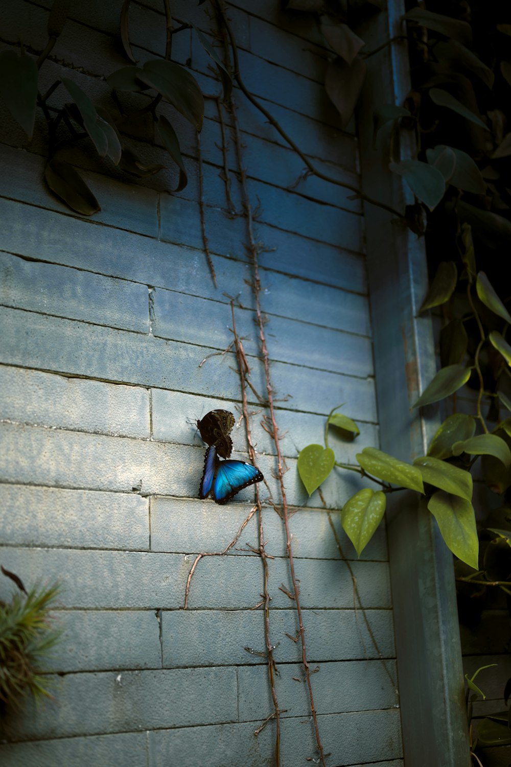 a teddy bear sitting on the side of a building