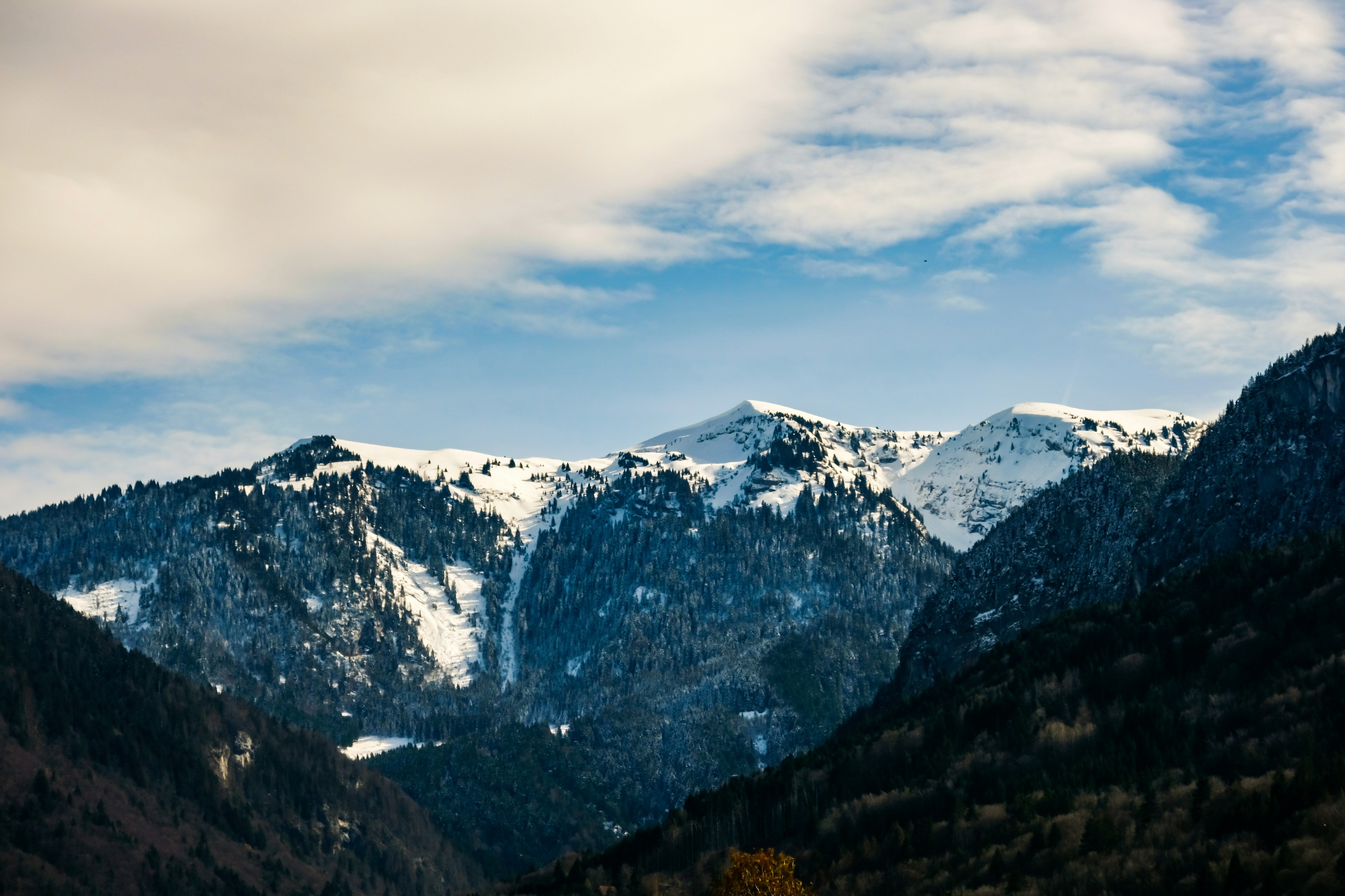 the mountains are covered in snow and trees