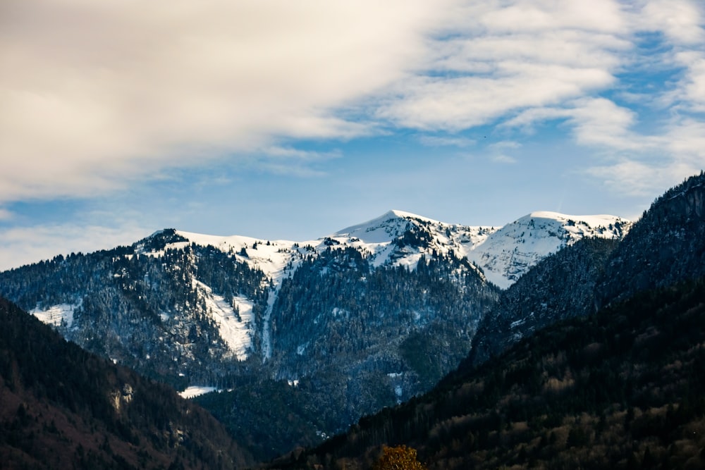 the mountains are covered in snow and trees