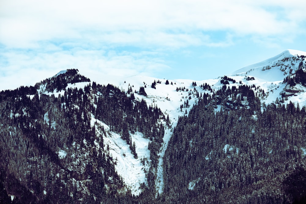 a mountain covered in snow and trees under a cloudy sky