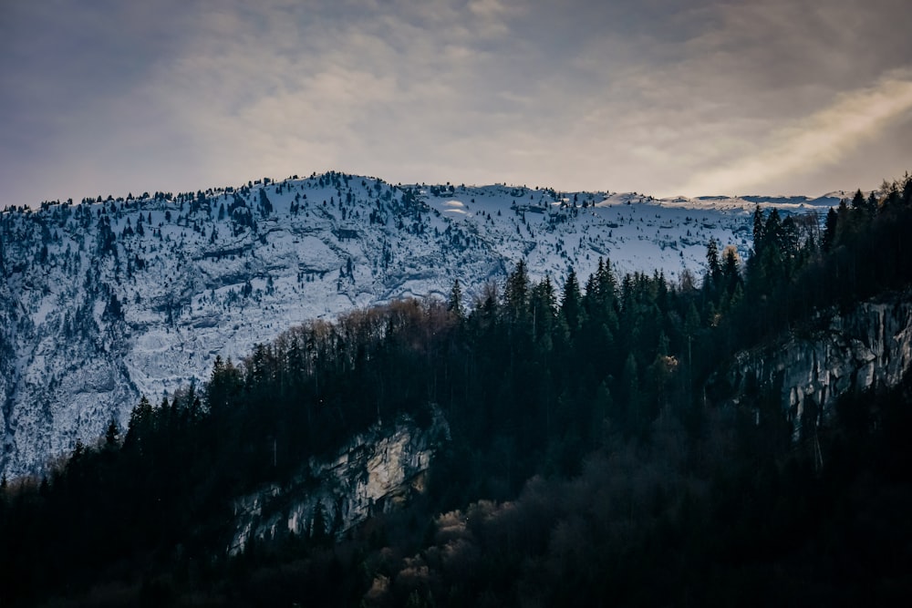 a mountain covered in snow and trees under a cloudy sky