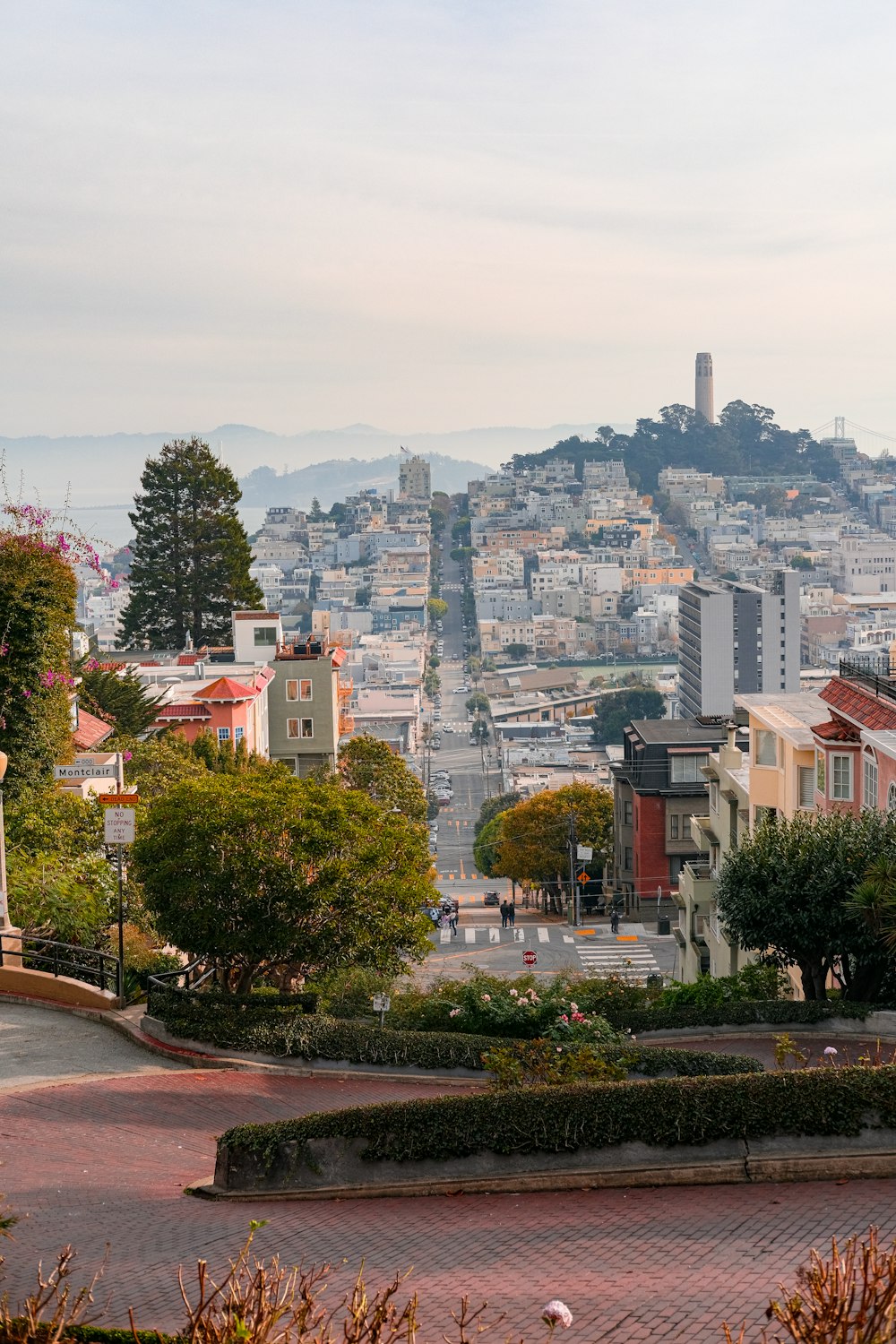 a view of a city from a hill