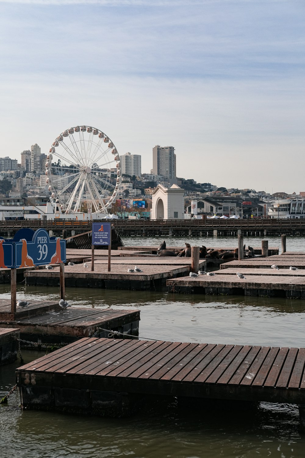 a pier with a ferris wheel in the background