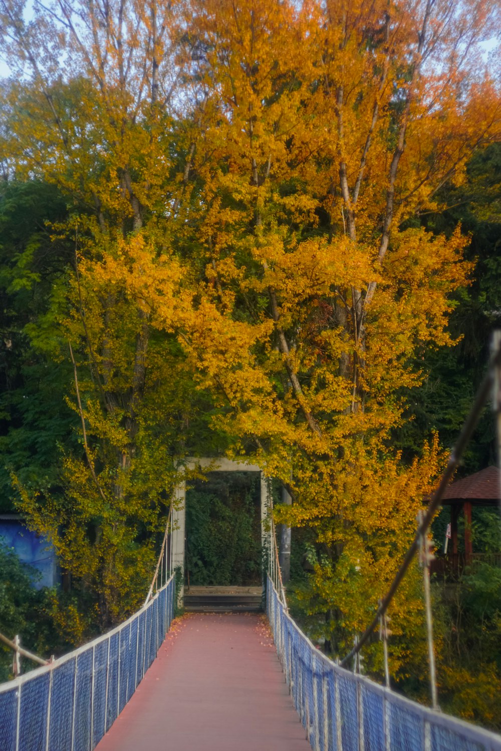 a bridge that has a tree with yellow leaves on it