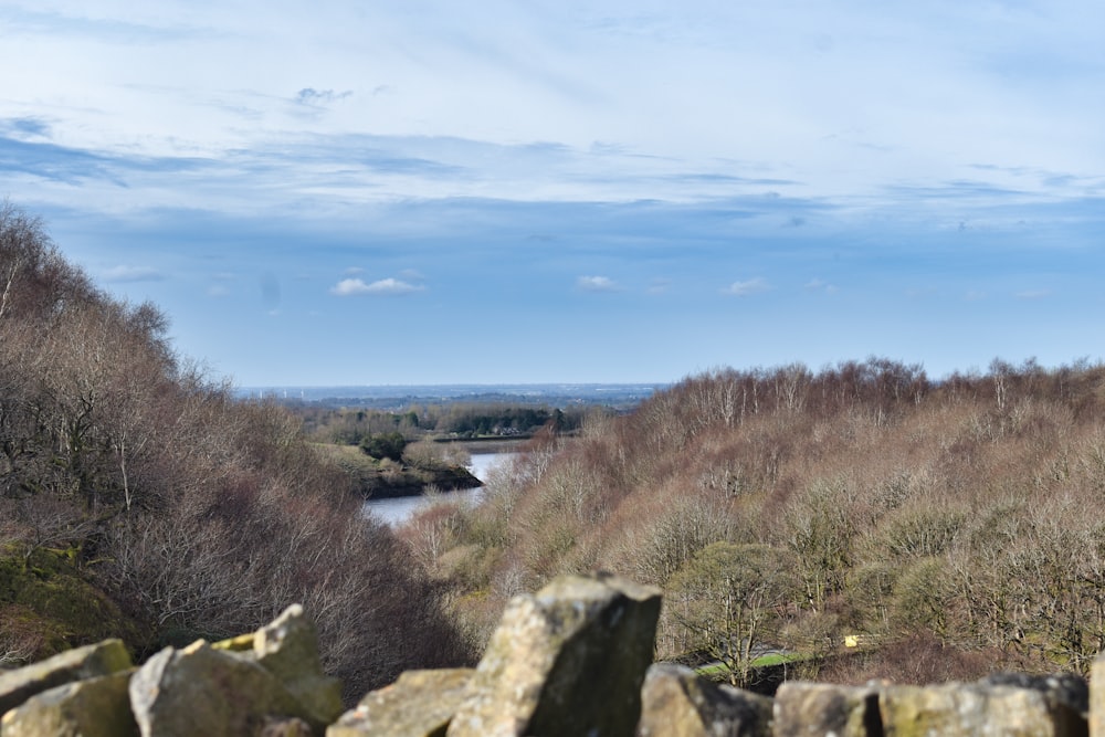 a view of a river running through a wooded area