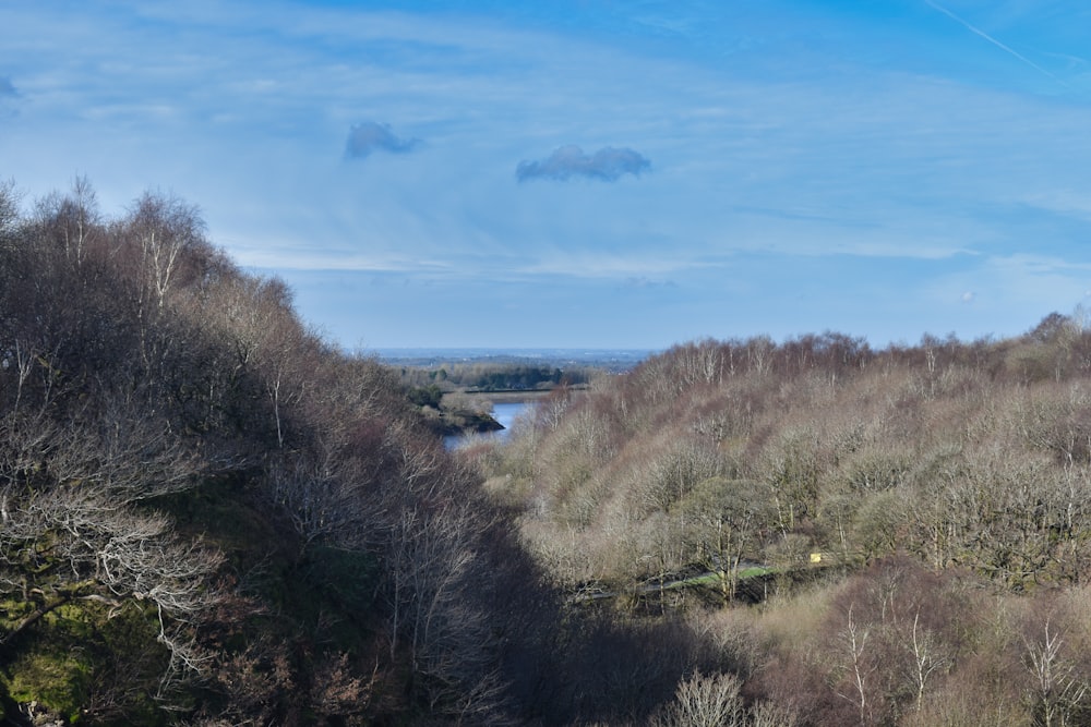 a view of a river from a hill