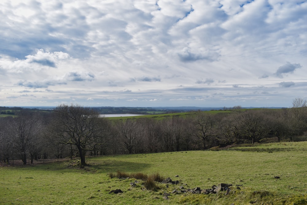 a grassy field with trees and a lake in the distance