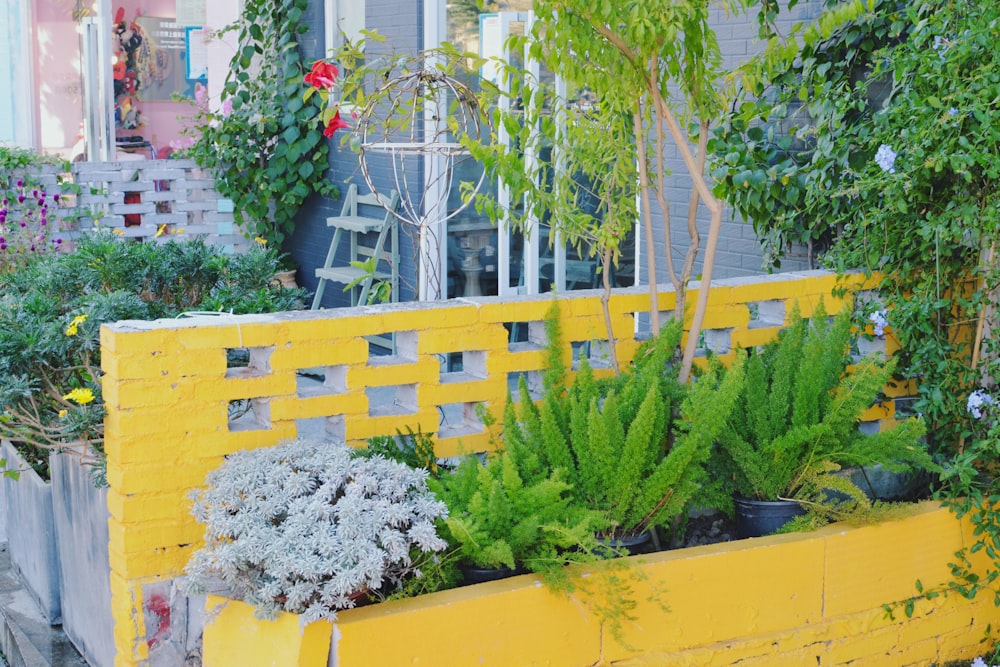 a yellow planter filled with lots of plants