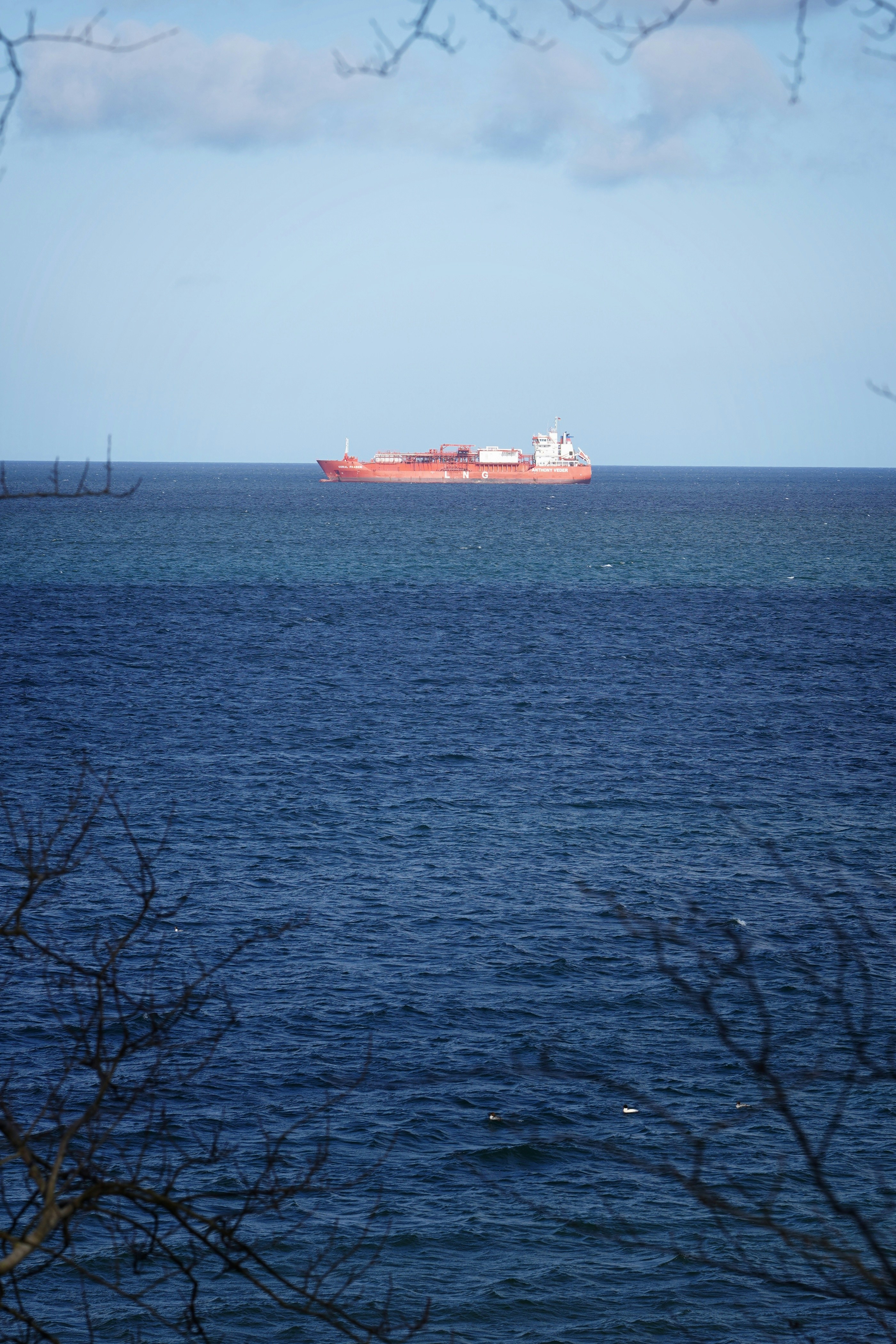 Photo by danielschuh