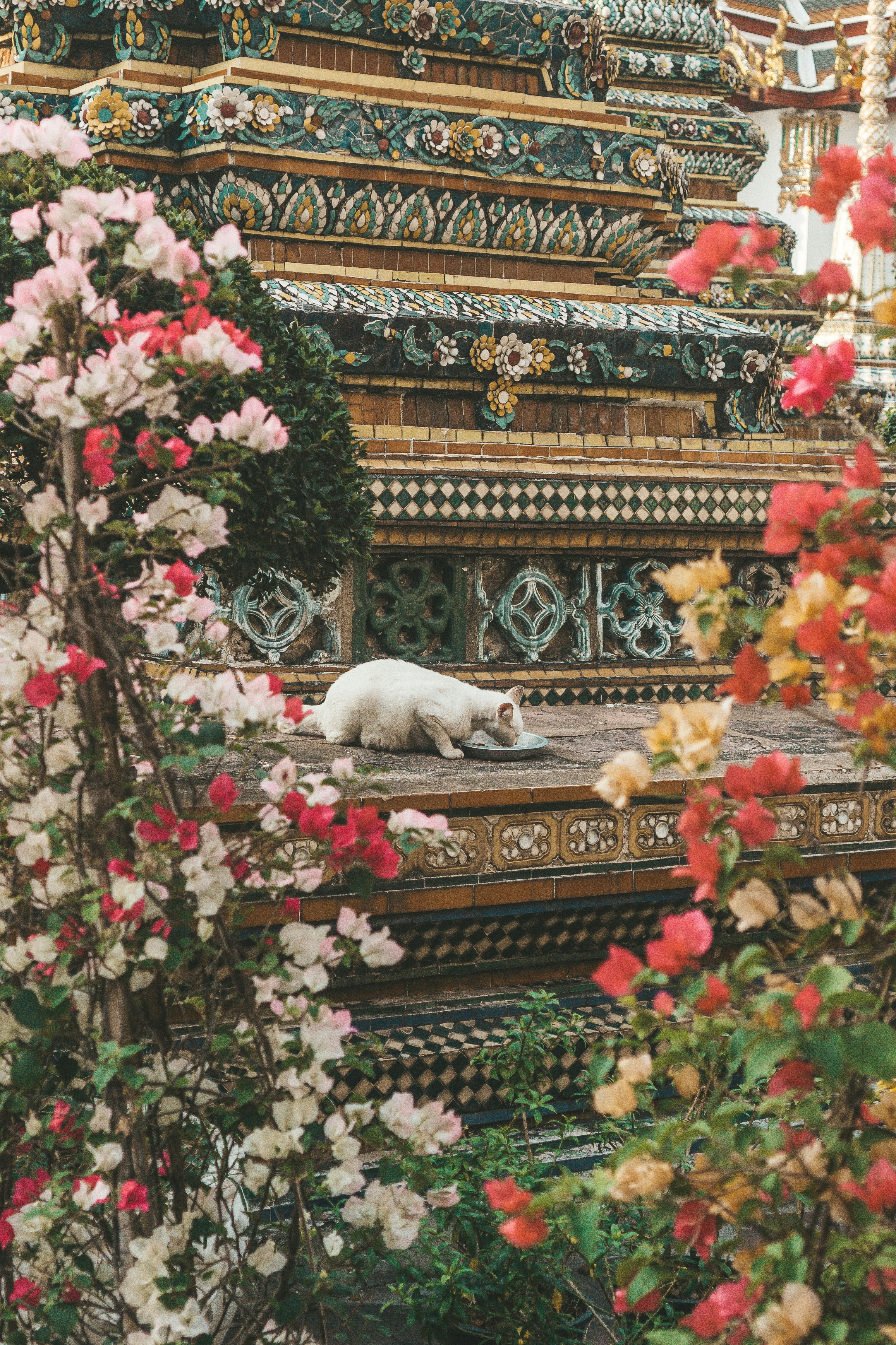 Petaling Street (Chinatown) photo 2