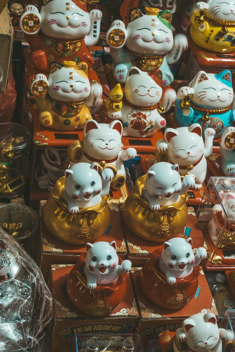 a bunch of small white cats are on display