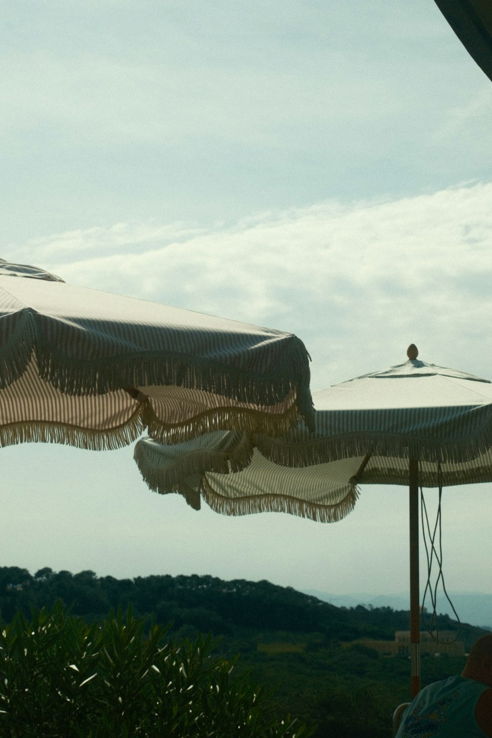 a couple of umbrellas sitting on top of a lush green field