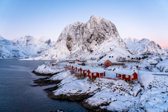 a snowy landscape with a mountain in the background