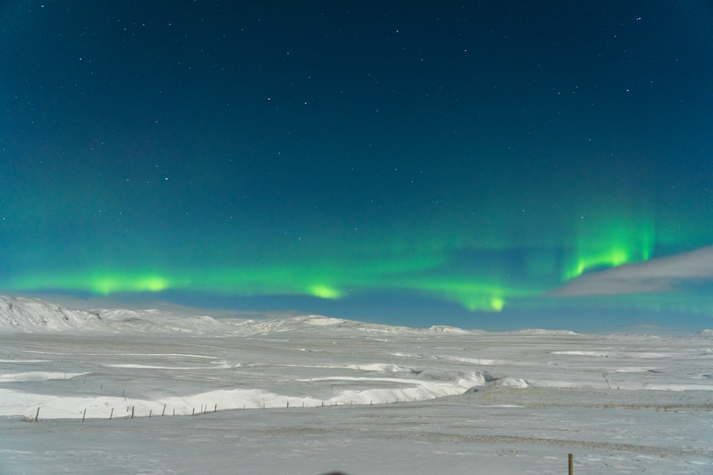 the aurora bore is visible in the sky above a snowy landscape
