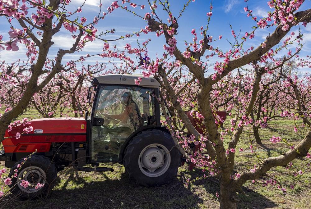 a tractor in a field with pink flowers