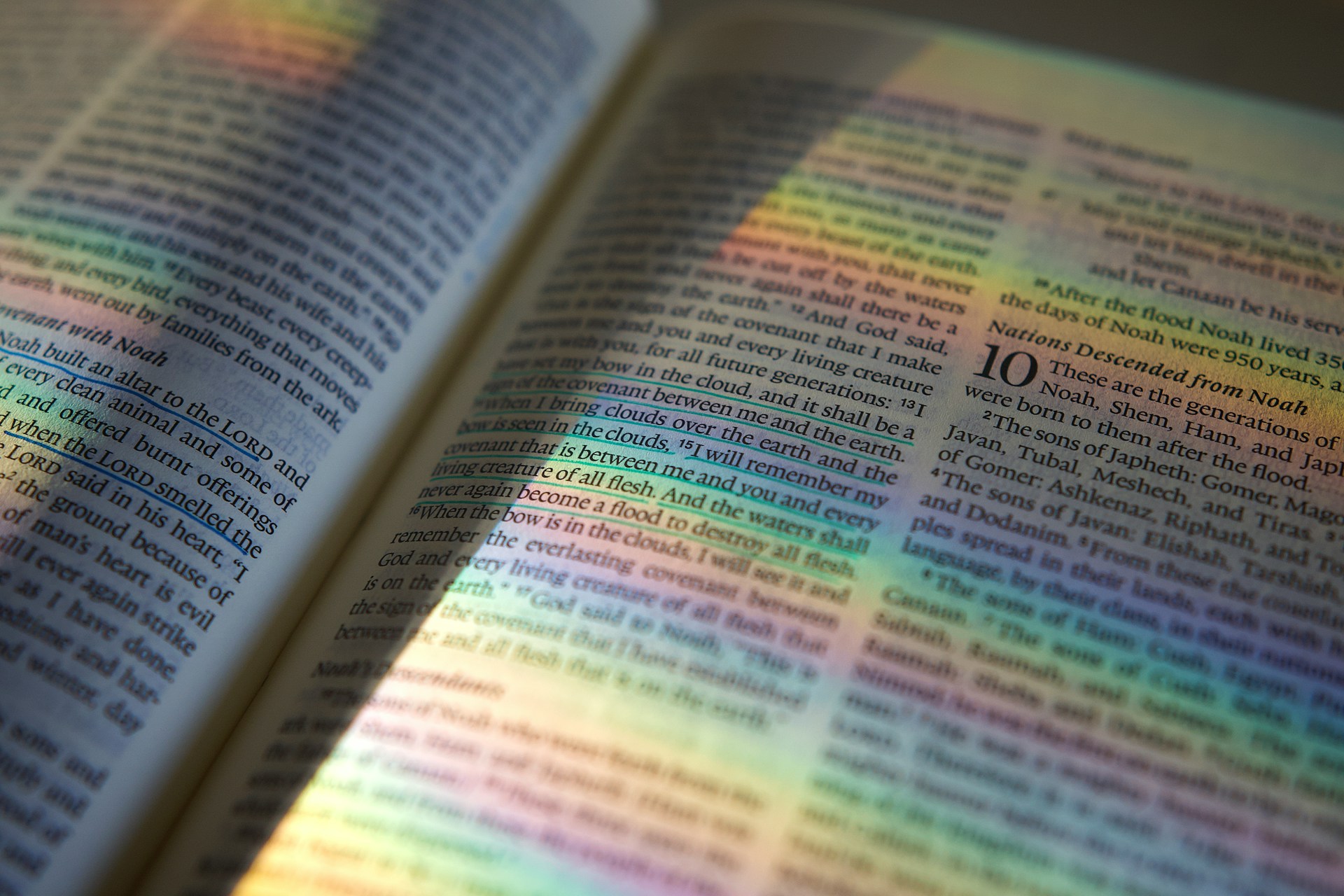 The Book of Genesis