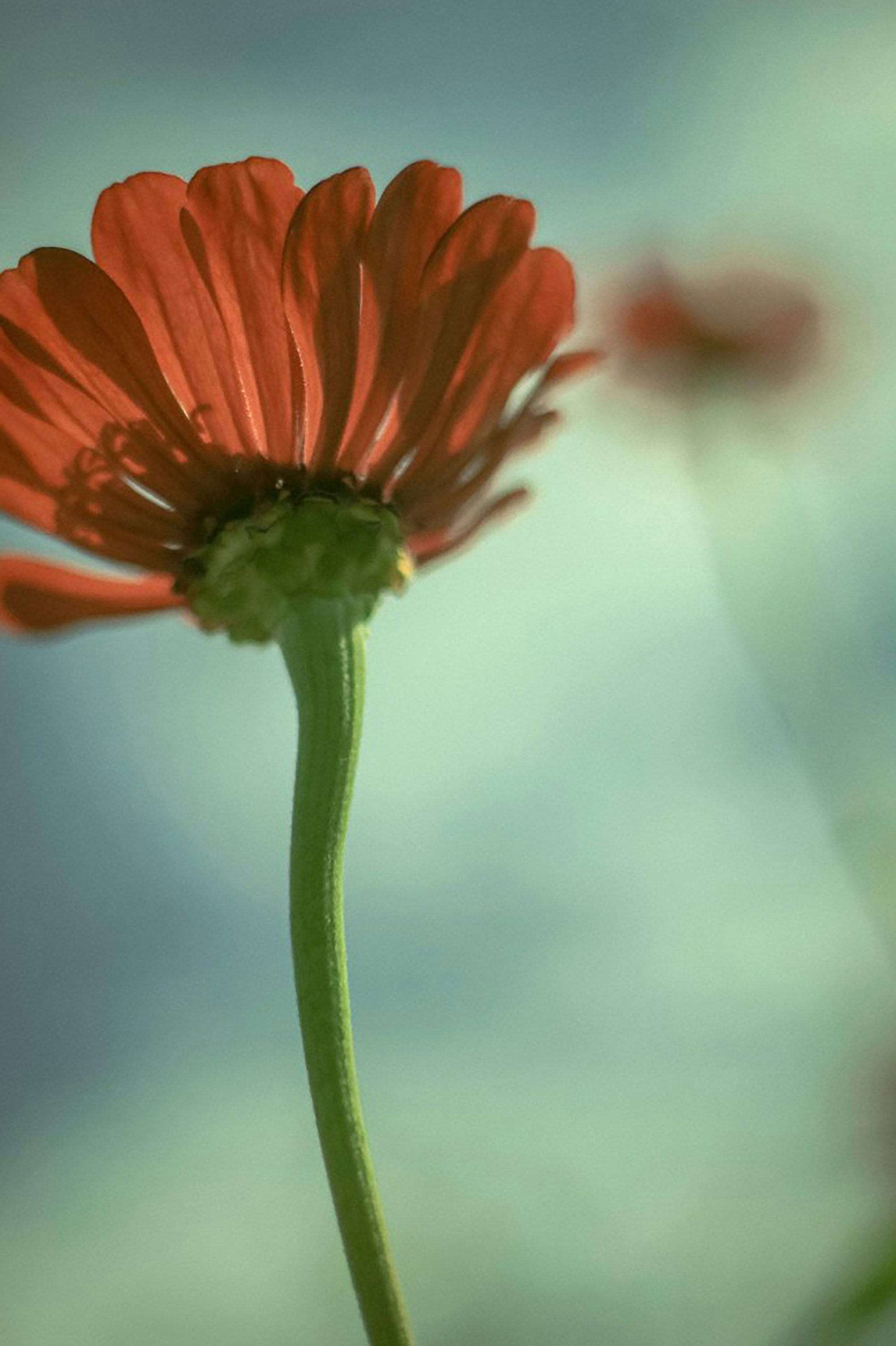 Photo by budanovamrus