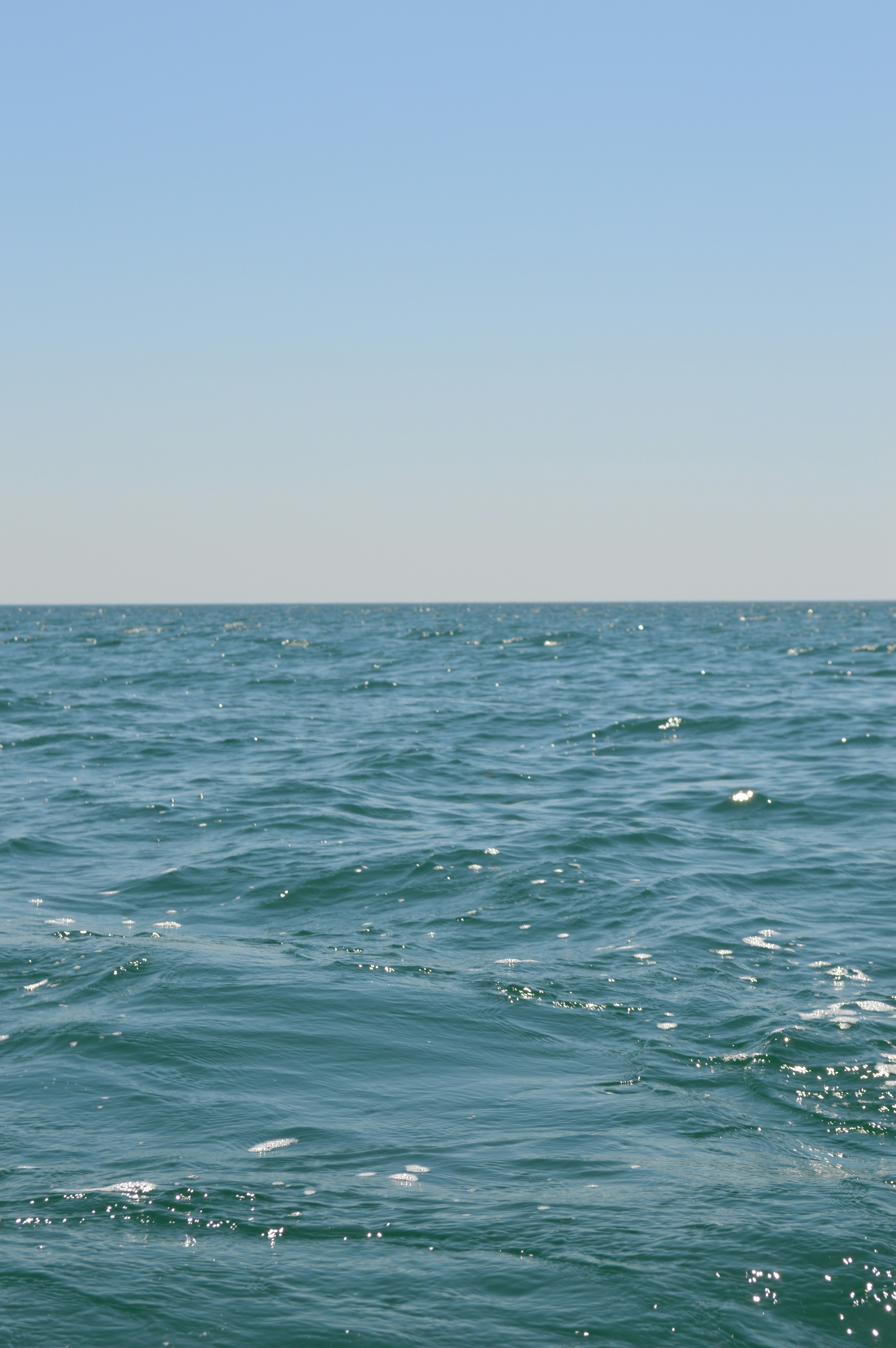 Photo by dmytrodovgan