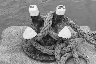 a black and white photo of a pair of shoes on a rope