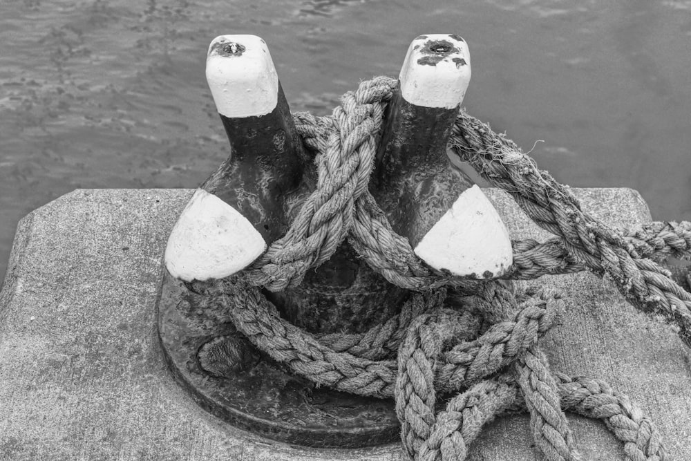 a black and white photo of a pair of shoes on a rope