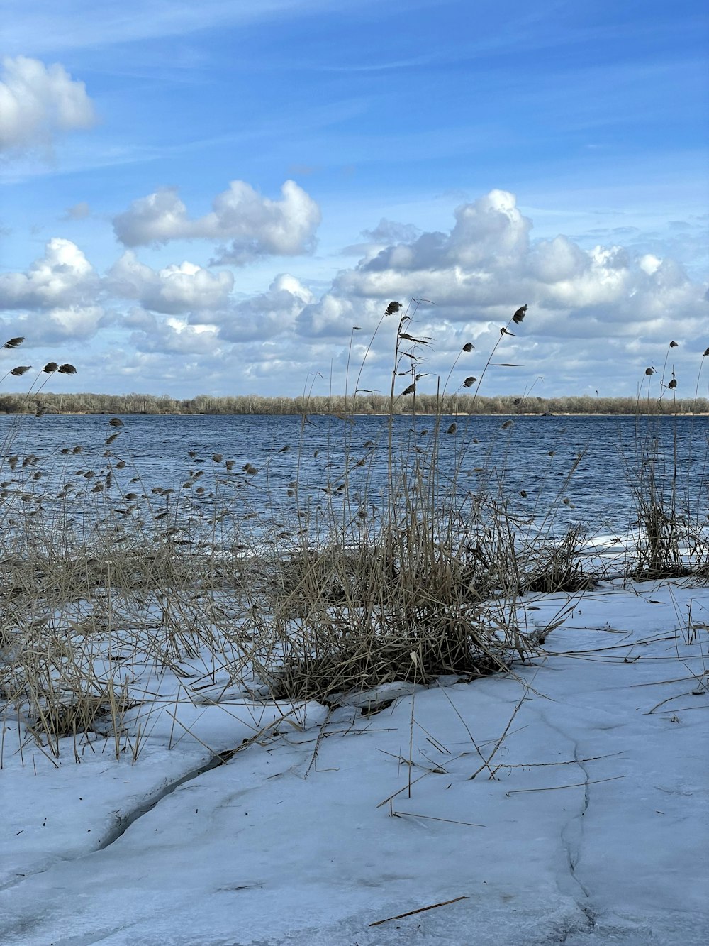 a body of water surrounded by snow covered ground