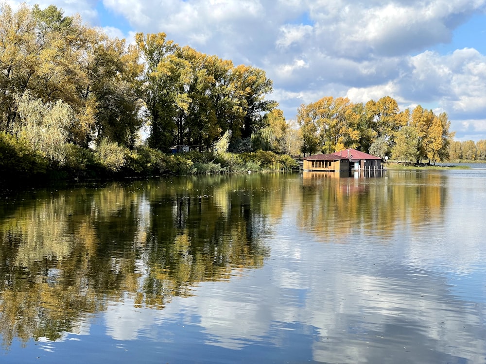 a body of water with trees in the background