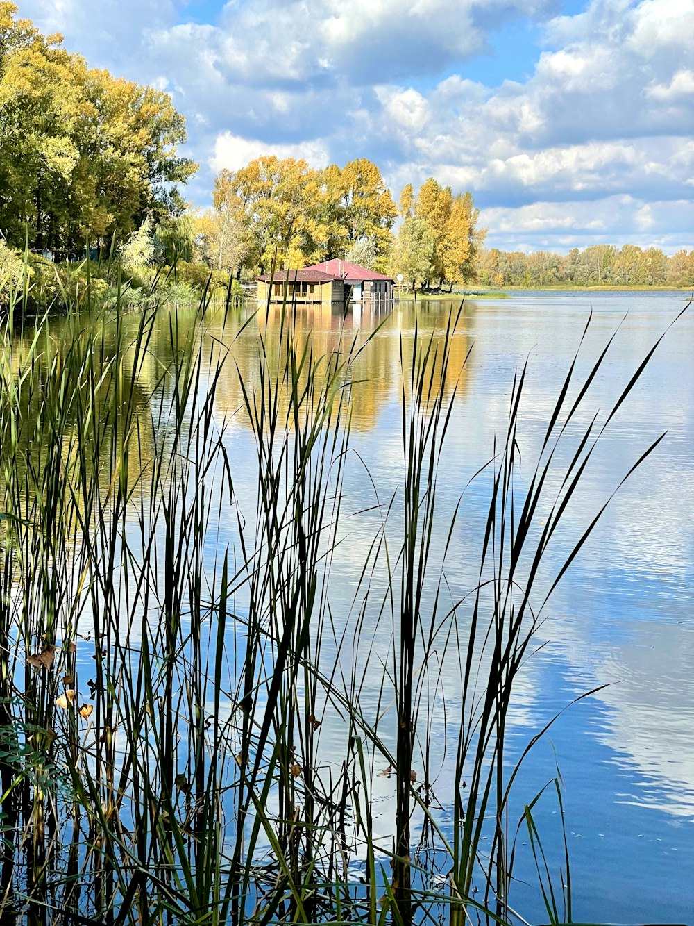 a body of water surrounded by trees and grass