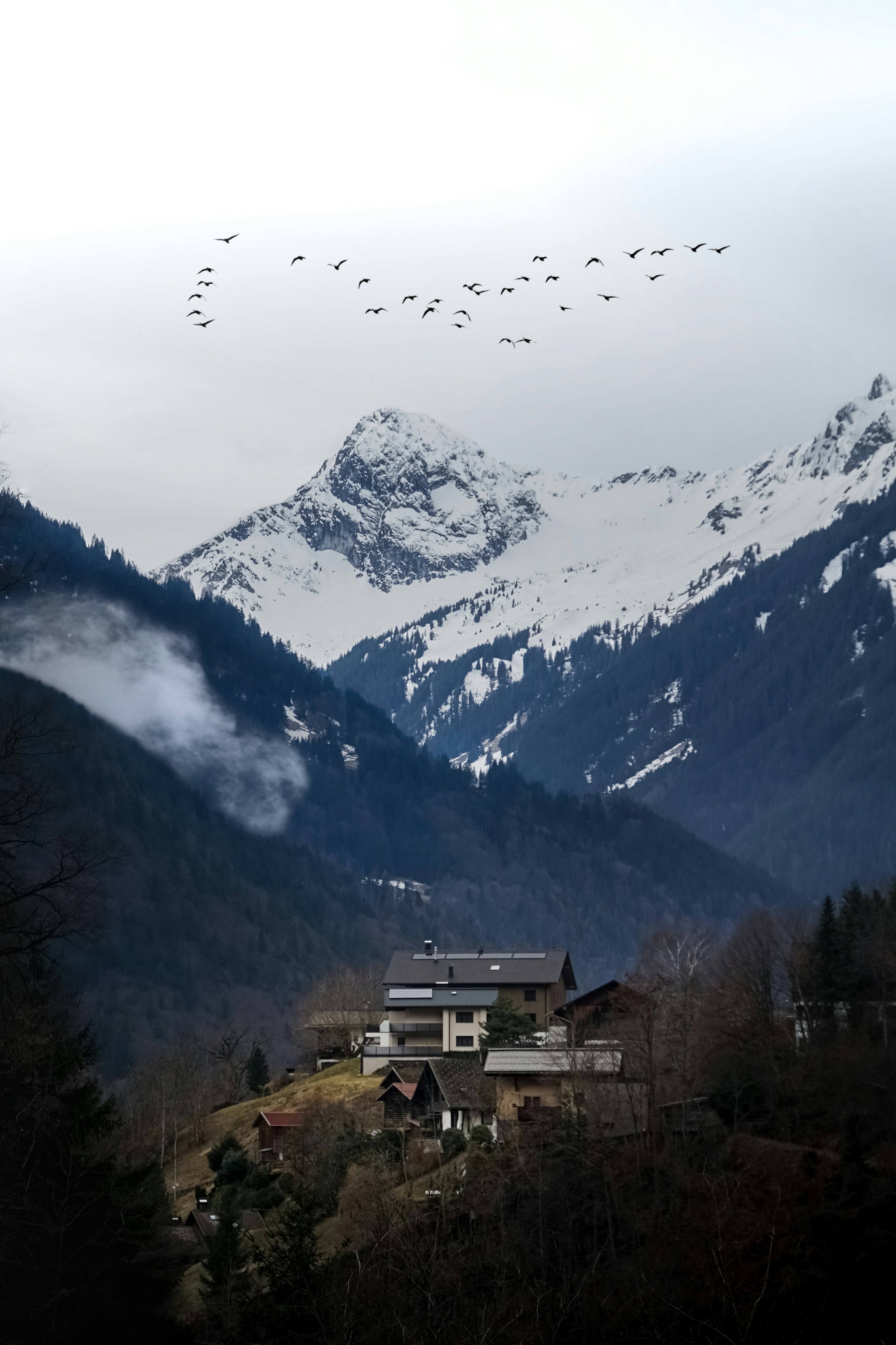 une maison dans les montagnes avec une volée d’oiseaux qui volent au-dessus d’elle