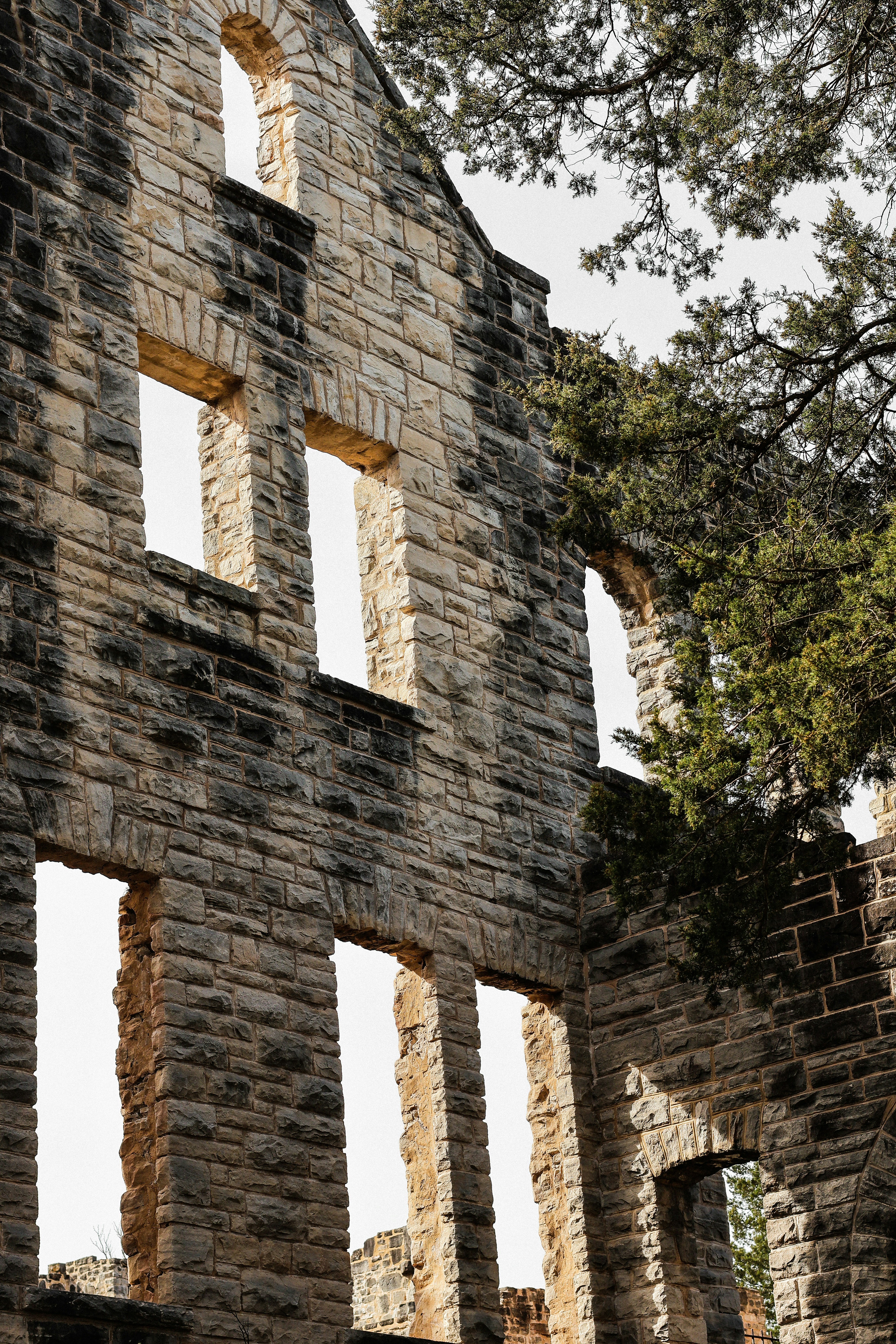 Photo by elimeneses08