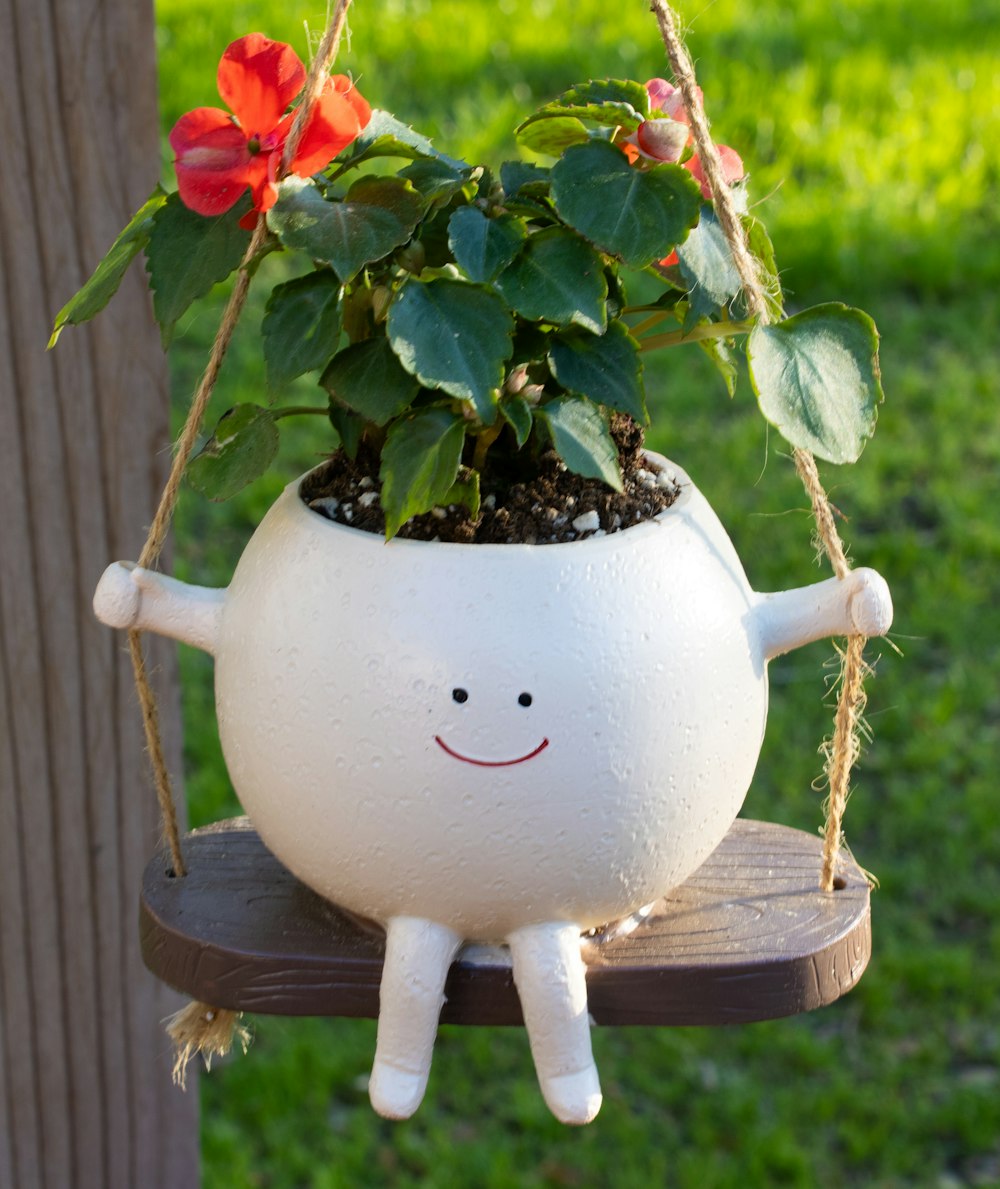 a potted plant with a smiley face on a swing