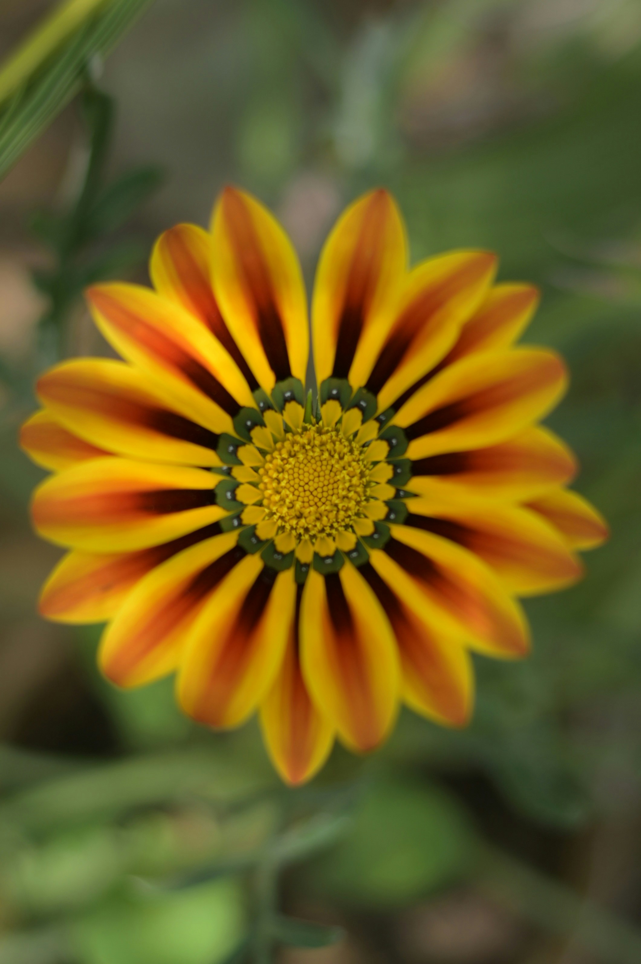 Photo by shafqatabbas