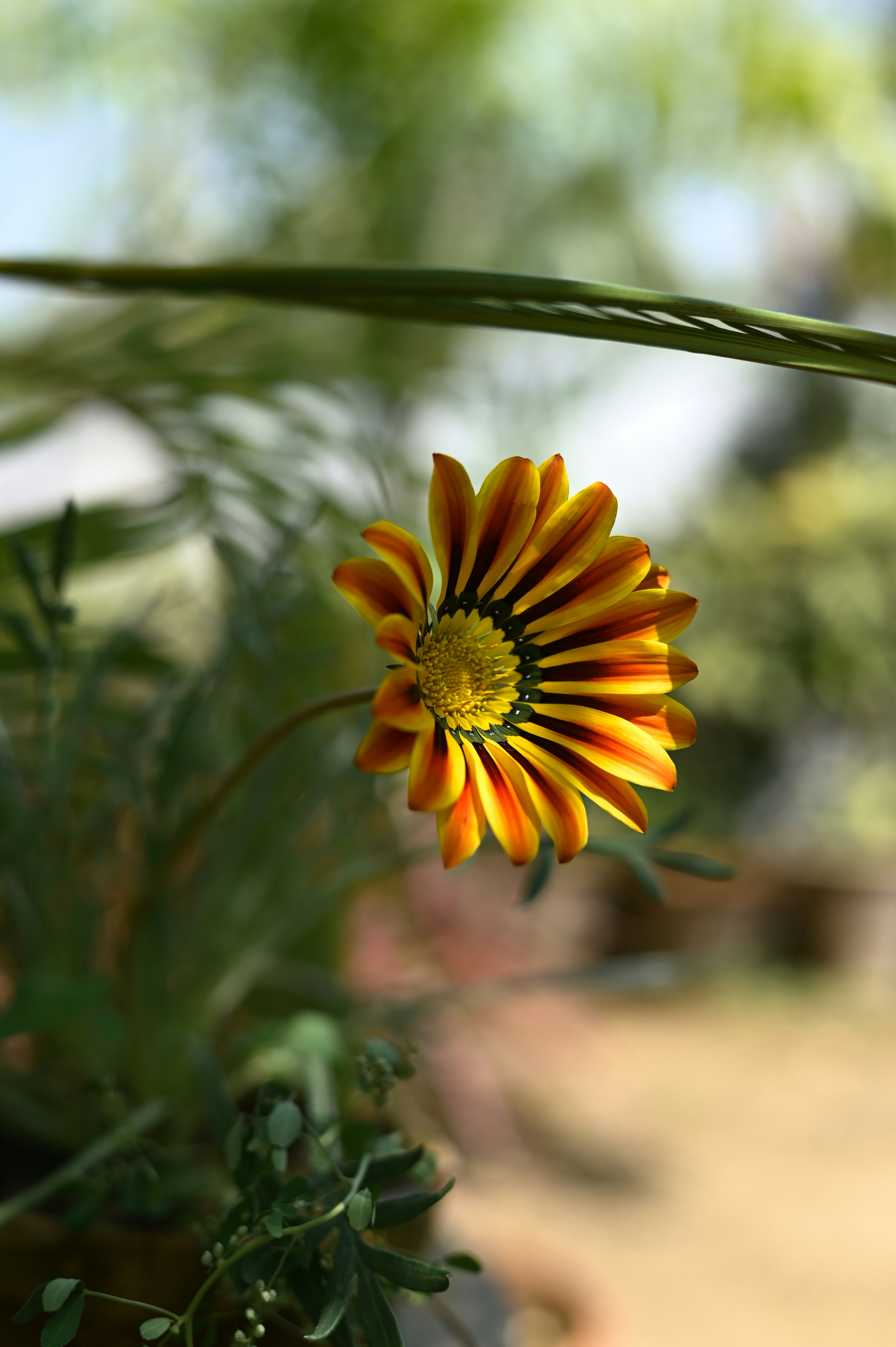 Photo by shafqatabbas